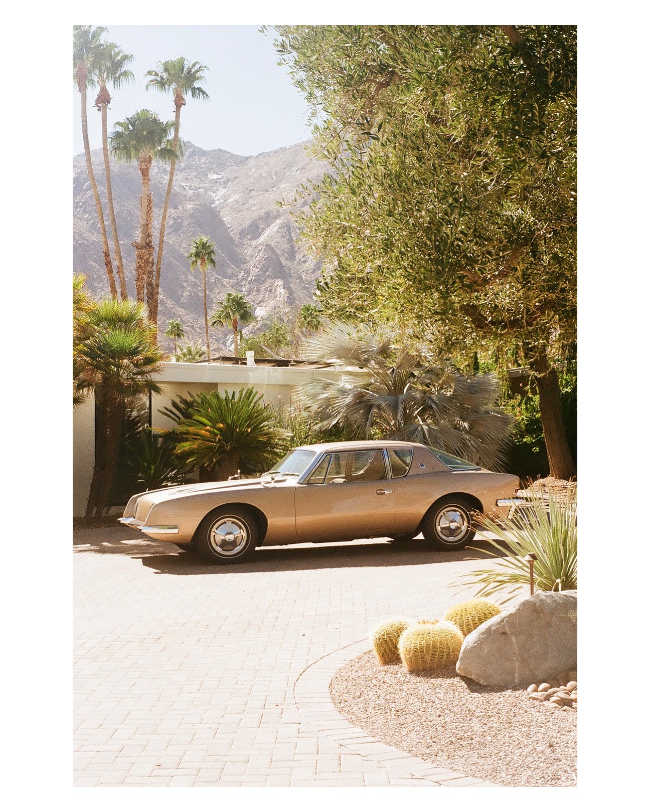 Kate Post @Katepostsfilm is a traveling film photographer. Image shot on #kodakgold.
"While cruising through Vista Las Palmas in Palm Springs, CA - I came across this stunning classic Studebaker Avanti during golden hour just begging to be photographed. In my opinion, this photo is the epitome of what Kodak Gold 200 is meant to capture!" -Kate