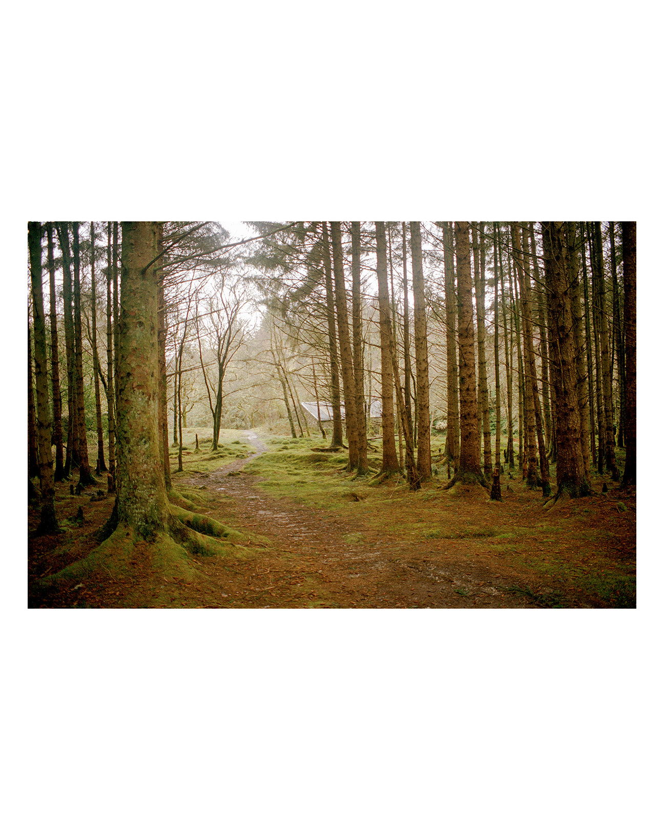 Harry Gasson @gasson.photography is a traveling film photographer. Images shot on #portra400.
"The Heart of the Highlands is a photographic series, shot on 35mm film, showing a personal journey through the vast landscapes of the Scottish Highlands in the harsh, unpredictable winter. Shot over the course of 10 days, walking 112 miles through the Highlands. Starting in Milngavie and finishing with Ben Nevis, the expedition goes through miles of breathtaking scenery, going through woodland, one of the biggest Lochs in Scotland, farmland, moorland, and then finishing off with mountainous valleys. Winding through the ever-changing scenery this body of work seeks to explore raw beauty, drama and solitude found in the remote corners of the British Isles. Each frame isn’t just a representation of the journey but a reflection on the healing qualities of nature." -Harry