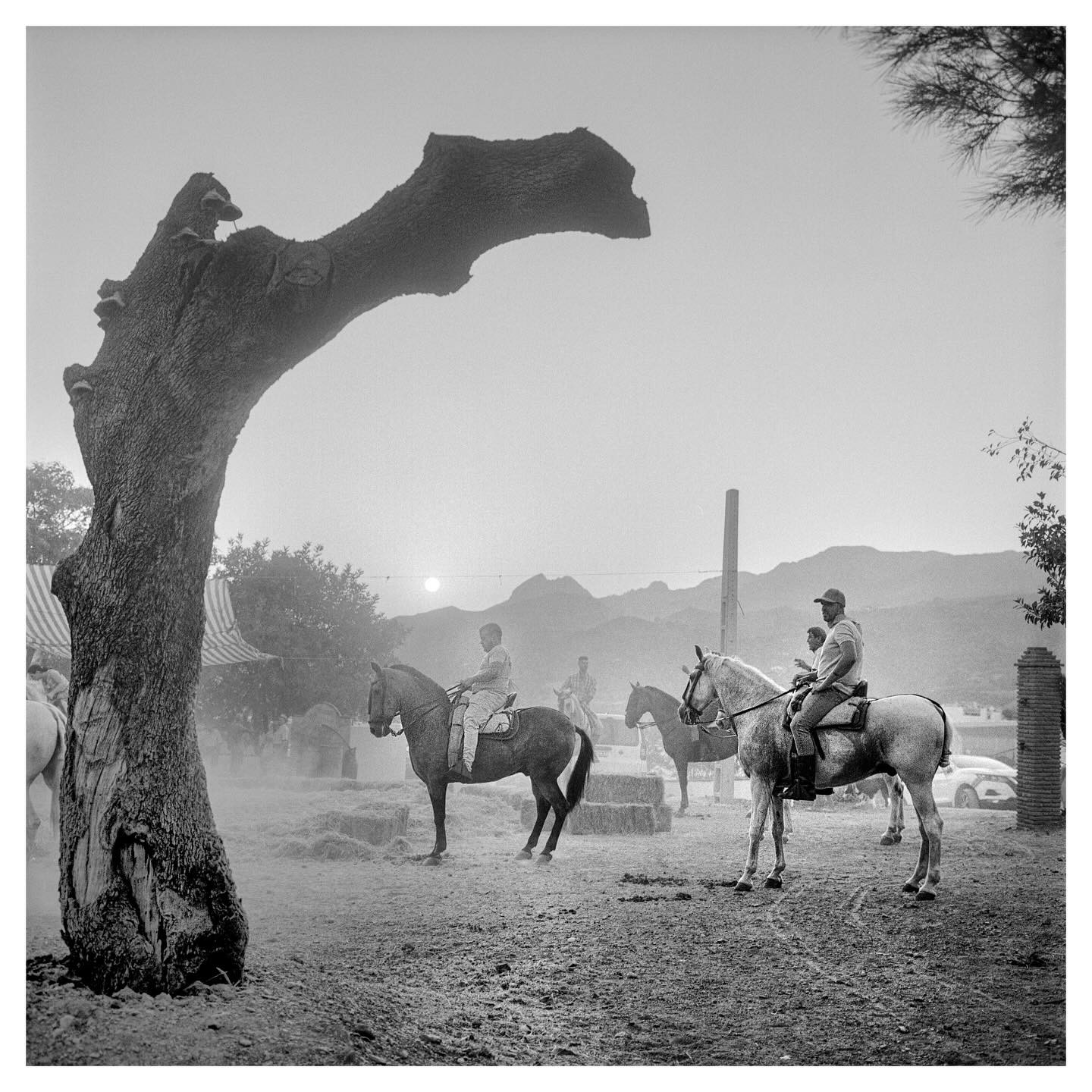 ⠀
📸: @jsevrard
🎞: Kodak #400TX
⠀
#KodakFilm
#KodakProfessional
⠀
“I have been photographing ribbon race in Andalusia for two years, using a Rolleiflex and Kodak Tri-X. I like film for the unique atmosphere it creates, the grain (I often expose at 1600) and the fact that I have to shoot a little but shoot well!”