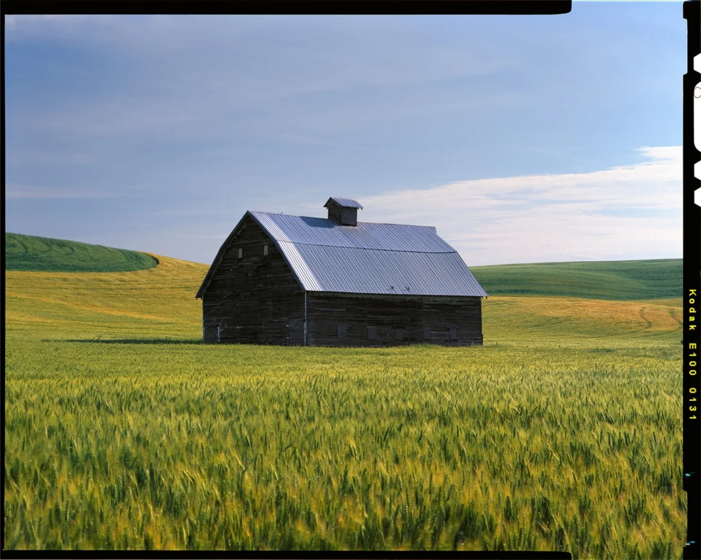 ⠀⁠
📸: @alexburkephoto⁠
🎞: Kodak #E100 #Ektar100 #Portra160⁠
⠀⁠
#KodakFilm⁣⁠
#KodakProfessional⁠
⠀⁠
"Large format film slows me down and keeps the equipment simple while working in remote locations. It's a flexible kit that creates a unique perspective on any subject from grand mountain landscapes to intimate scenes of nature, and of course the wide open views of the prairie that I love. I generally just bring Ektachrome and Ektar or Portra with me so I can work with any kind of light."