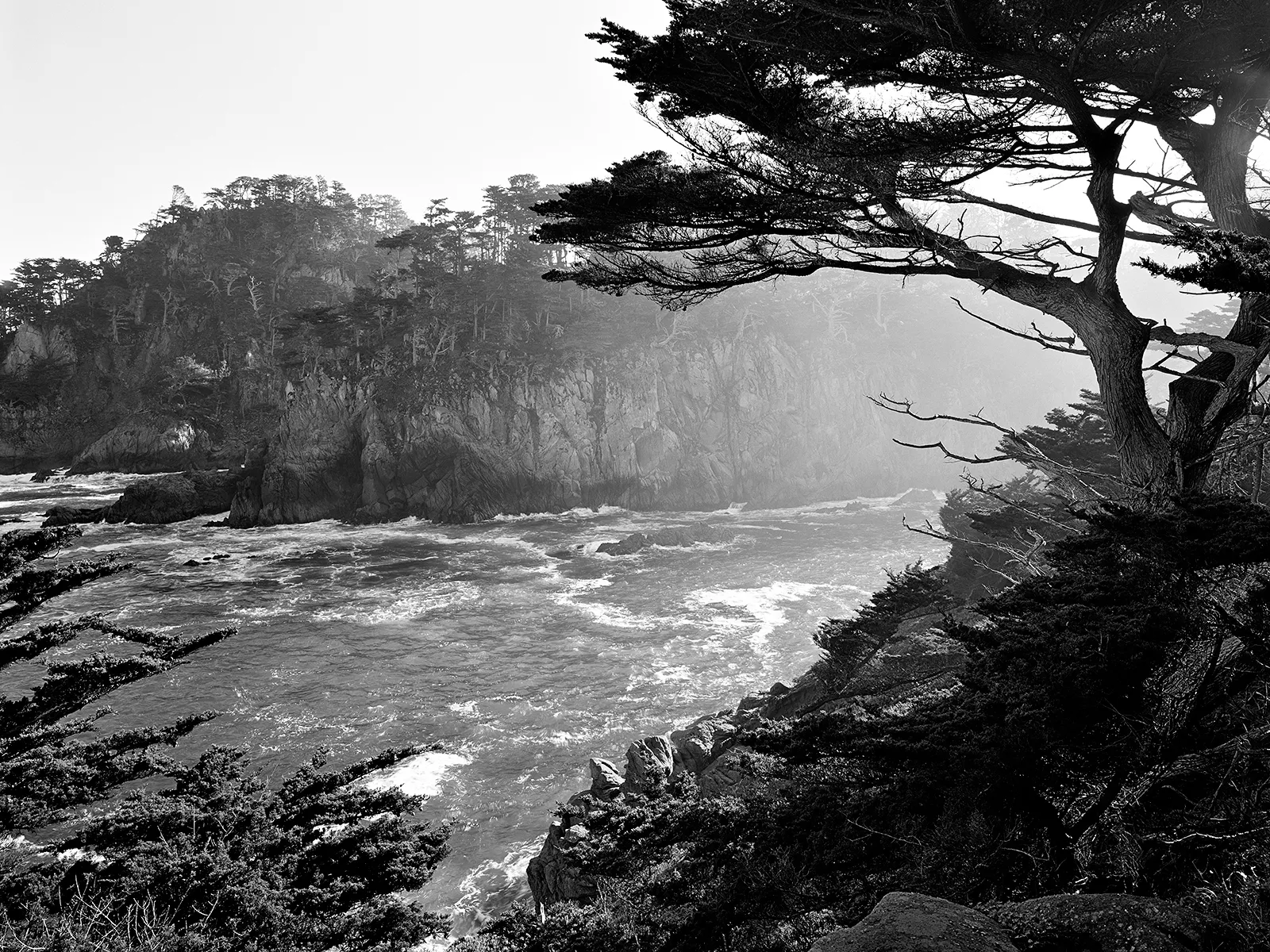 Photo by Mike Boden