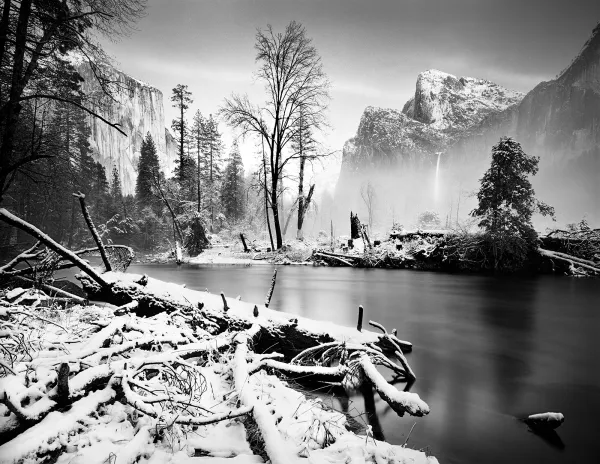 Photo by Mike Boden TMAX 100