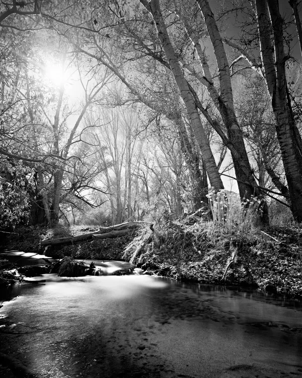 Photo by Mike Boden