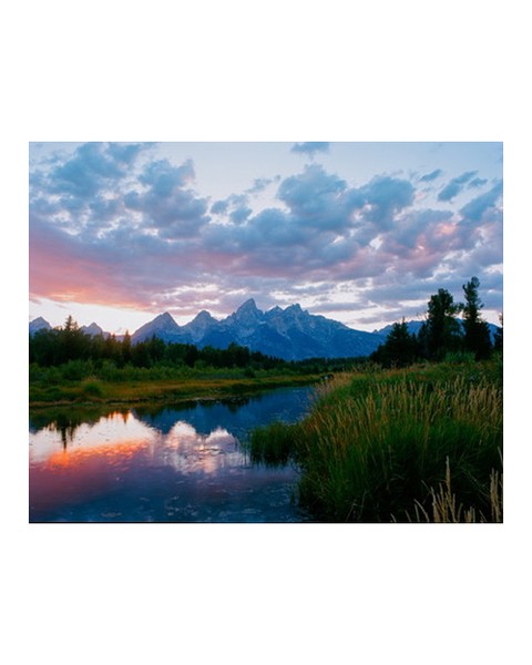 Cole Custer @colbert_c20 is a film photographer from Pennsylvania. Image shot on #ektar.
"I spend part of every summer in Wyoming. Although it's the least populated state, I have found it to be full of more life and color than many other more populated areas. This photo was taken in the Summer on my Pentax 67ii with Kodak Ektar 100." - Cole