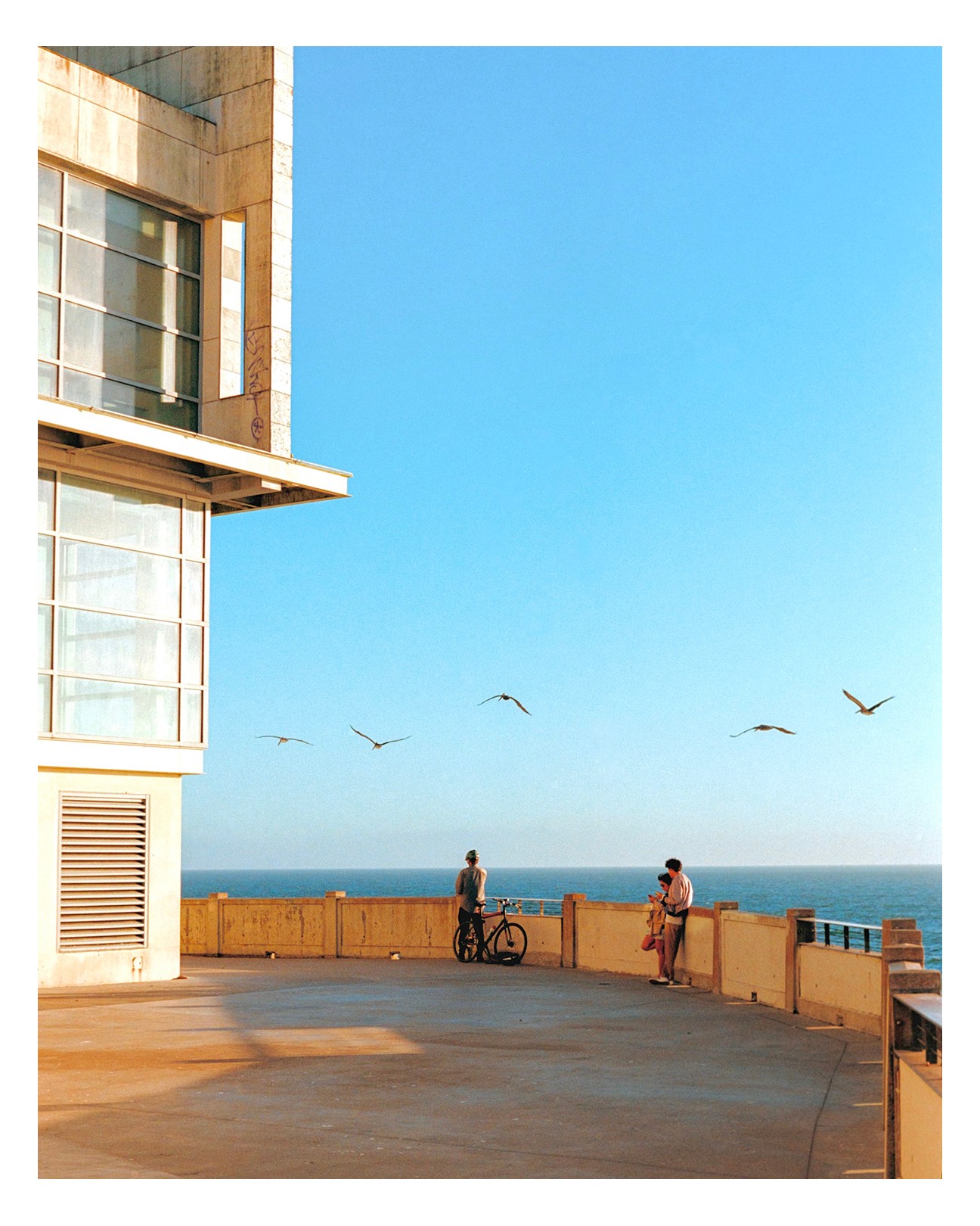 August Arena @farmed_it is a film photographer from San Francisco, California. Images shot on #ektar, #gold200, and #portra160.
"I tend to be drawn to moments that evoke feelings of nostalgia in my photos. I’m drawn to shapes, shadows, and color with which i try to convey the feeling of a distant memory. I made the switch to shooting solely film about a year ago, which has allowed me to fully lean into my creative style." - August