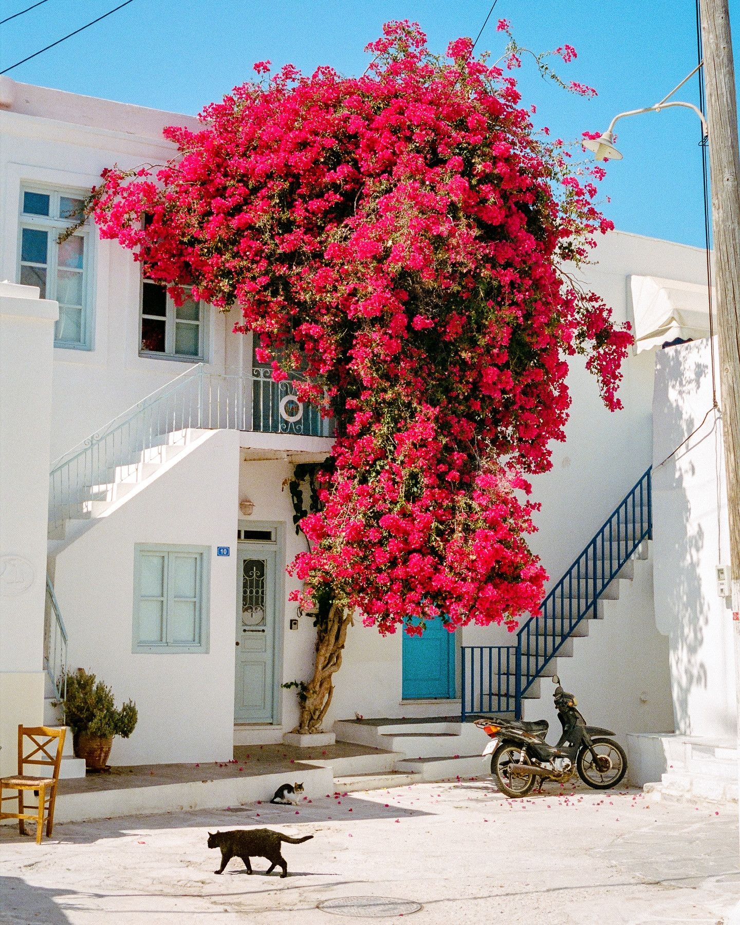 ⠀⁠
📸: @sukh.photos⁠
🎞: Kodak #Portra400 & #Ektar100⁠
⠀⁠
#KodakFilm⁣⁠
#KodakProfessional⁠
⠀⁠
“Most of my childhood is recorded on film. My dad always had a camera with him, and I remember dropping rolls off and waiting to see what came back. The prints were simply accepted as they were and that shaped how I think about photographs. I first began my photography journey on digital, but I felt like I was always trying to push the image into something it wasn’t. With film, you make the choice in the moment and then you let it go. There’s a bit of trust in that, and it makes me pay more attention to what’s actually in front of me. Now I've been almost exclusively shooting film for the past few years using fully mechanical cameras. They feel steady and familiar. Nothing gets in the way. It’s just the scene, the light, and the decision to press the shutter. In the end, it becomes less about making something perfect, and more about remembering how it felt to be there.”