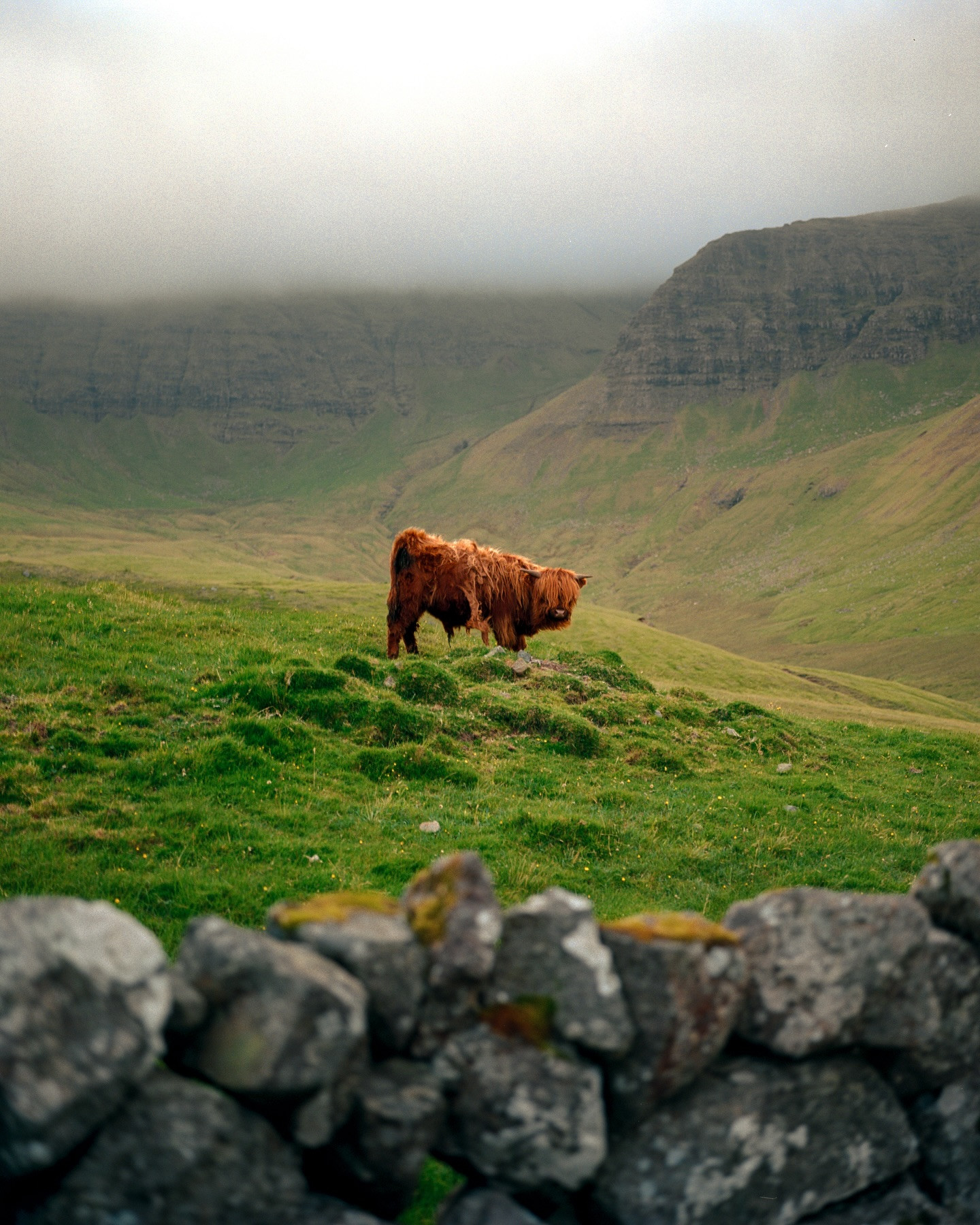 ⠀⁠
📸: @matteo.analog⁠
🎞: Kodak #Ektar100⁠
⠀⁠
#KodakFilm⁣⁠
#KodakProfessional⁠
⠀⁠
“I love Ektar’s vibrant colours, and how it makes a scene come to life beautifully! I love film because of the slow and precise process, it allows me to be in the moment and be more intentional with my workflow.”