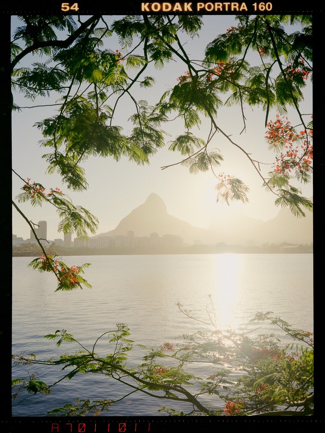 ⠀
📸: @rafaframes
🎞: Kodak #Portra160 #Portra400 #TMax400
⠀
#KodakFilm⁣
#KodakProfessional
⠀
“What I like about shooting film is that it feels more honest. You don’t get endless chances, so you trust your instinct and commit. After a while, you start seeing things differently. That’s why I keep coming back to film.”