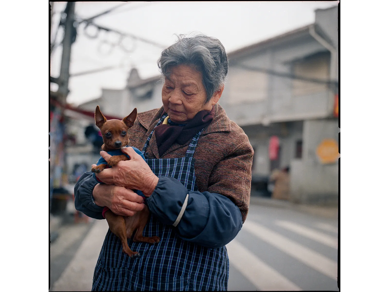 Photo by Zhu Jiayun Portra 800