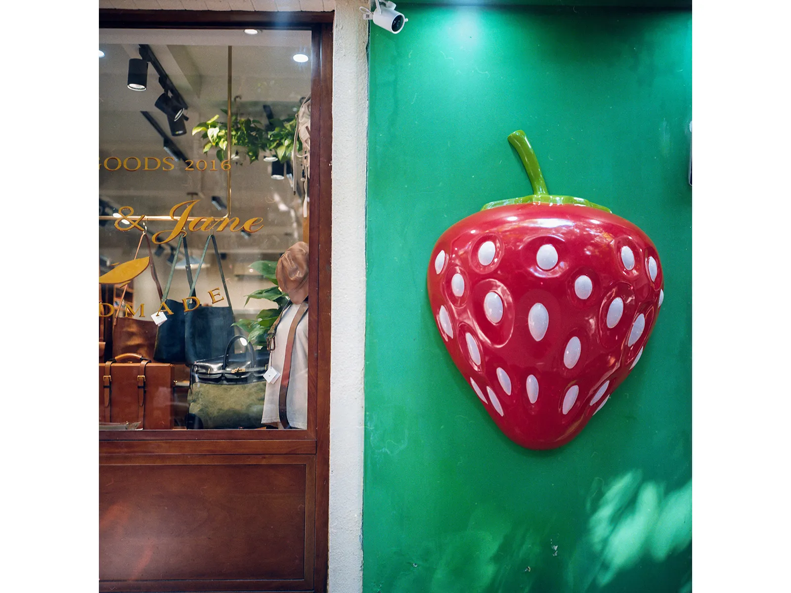 Photo by Zhu Jiayun Kodak Gold 200