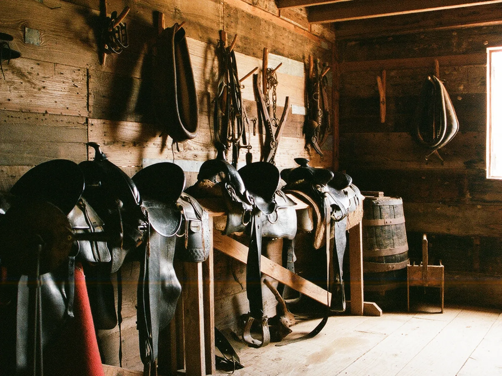 Photo by Lizzie Chen