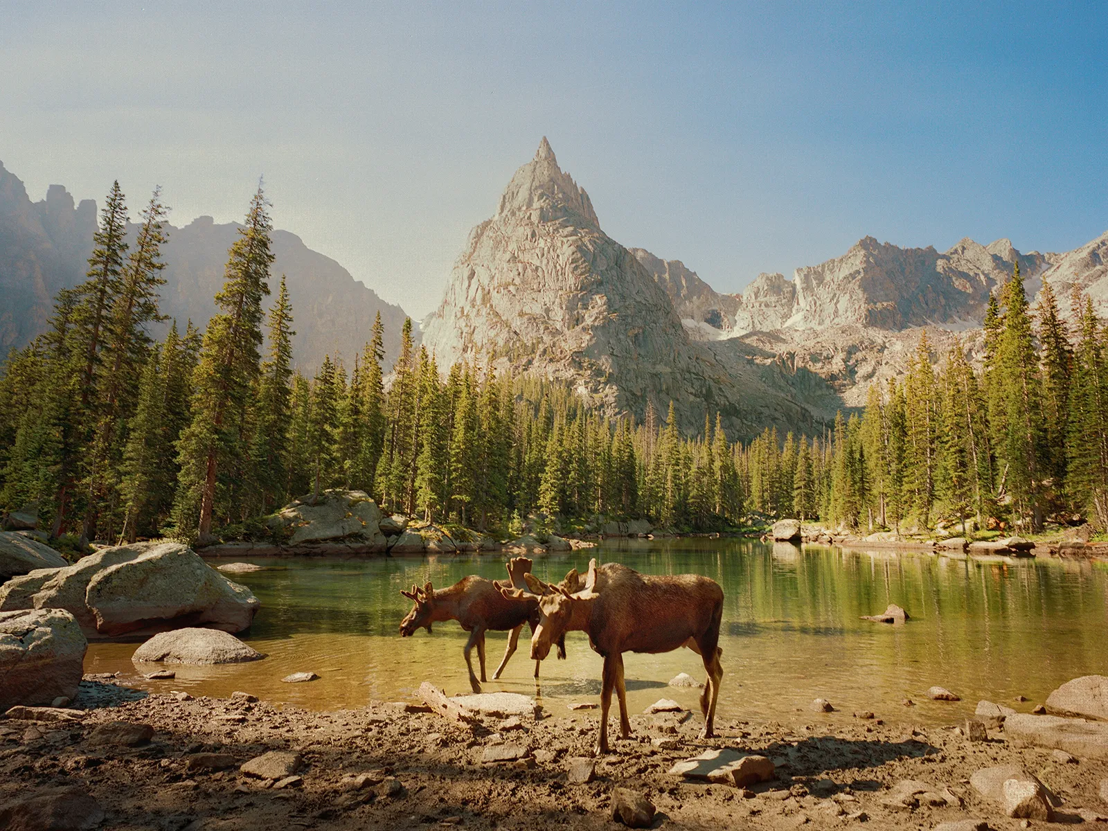 Photo By Matt Santomarco Portra 400