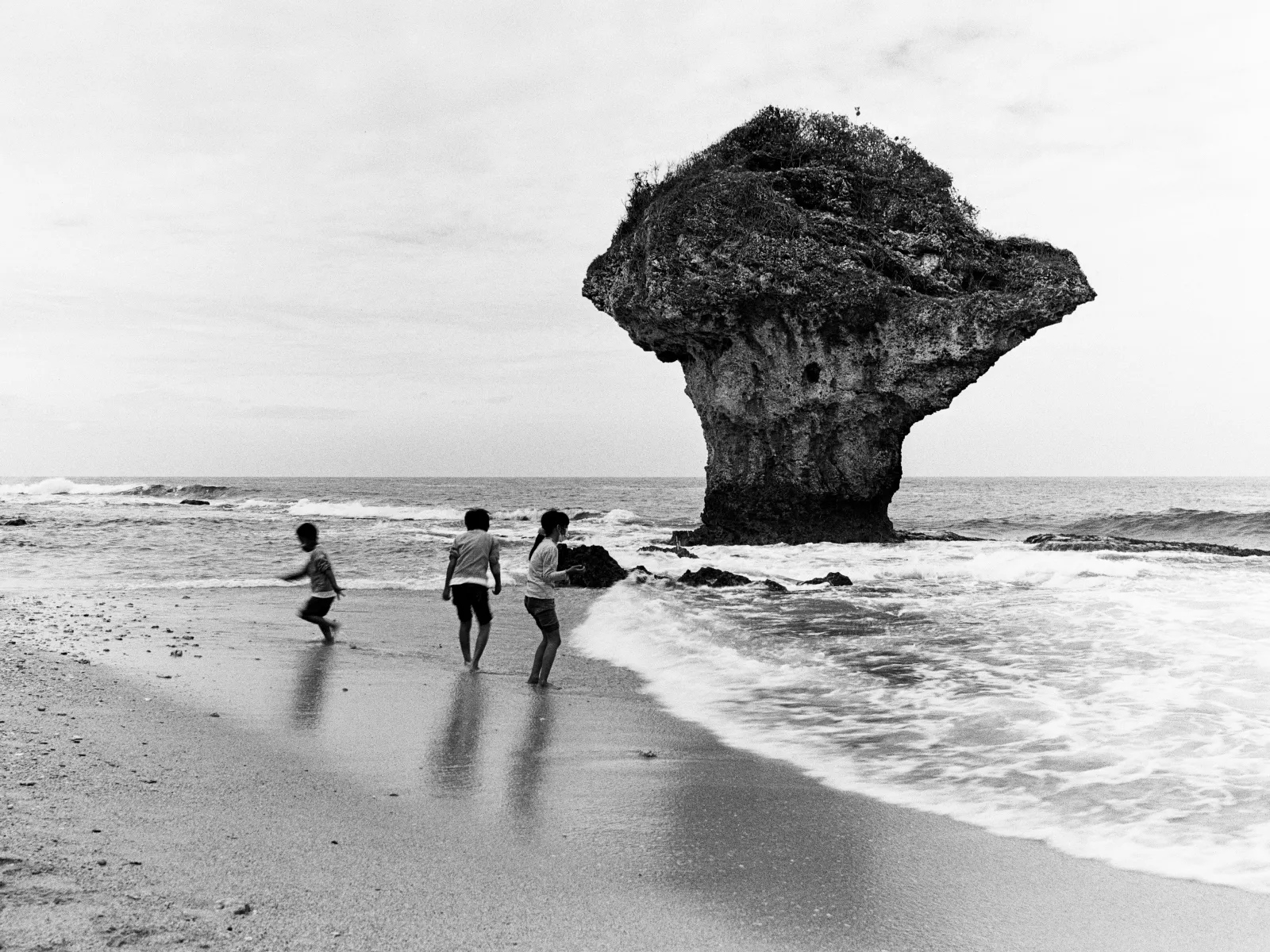 Photo by Ainsley Myles T-MAX 100