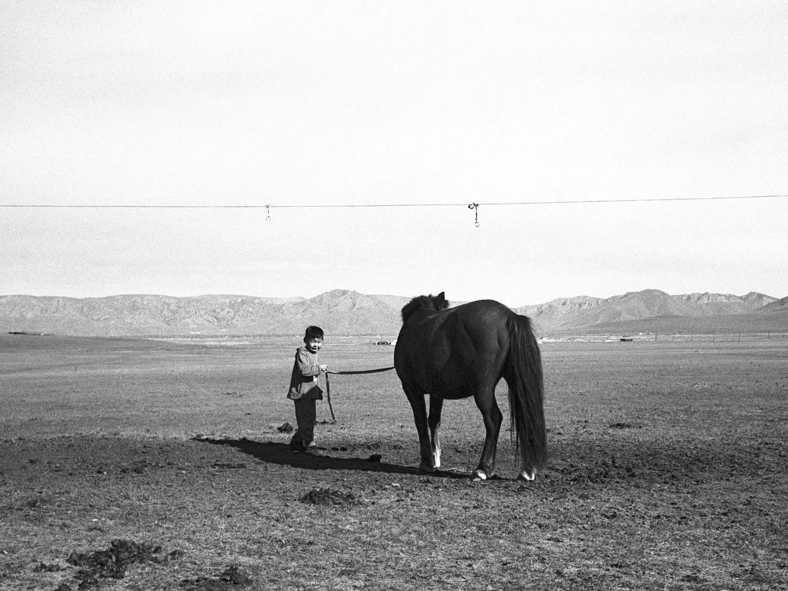 Photo by Shinnosuke Toya