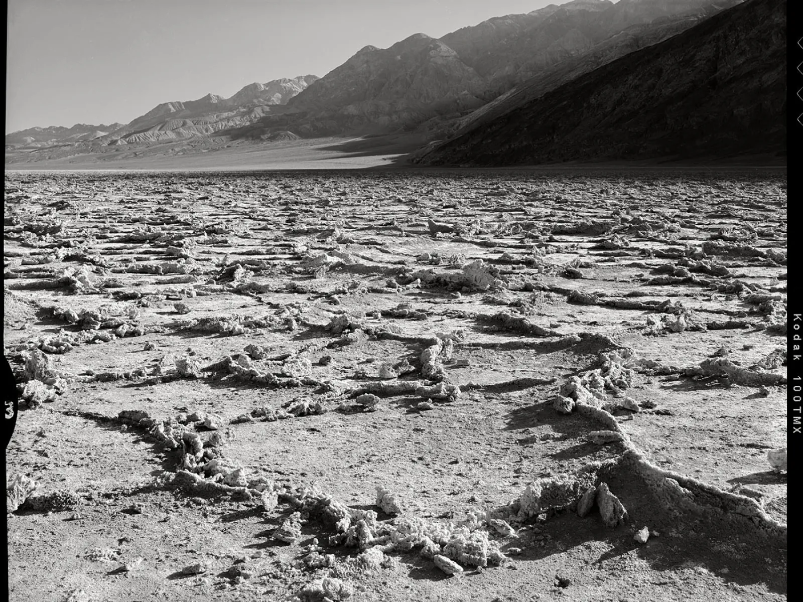 Photo by Bryan Garris