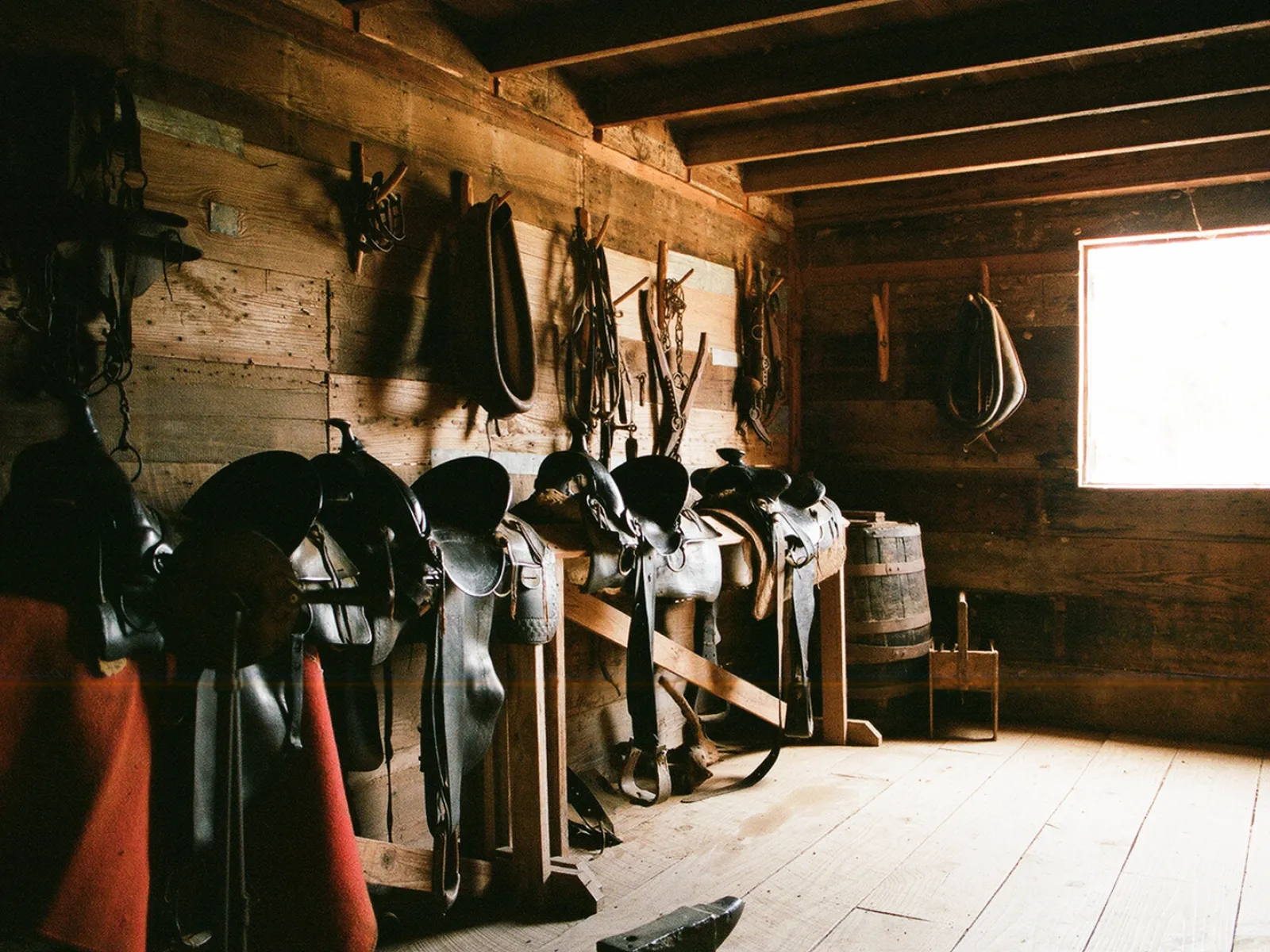 Photo by Lizzie Chen