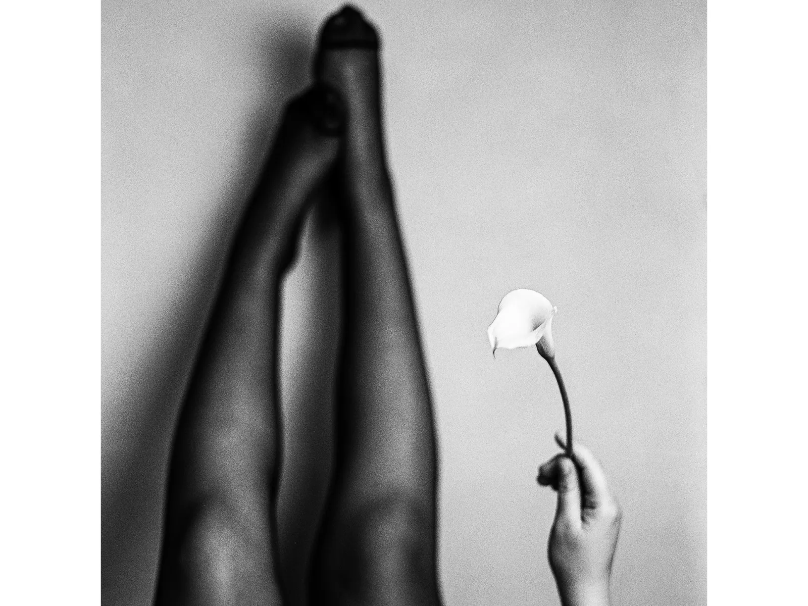 Photo by Marco Bressi TRI-X