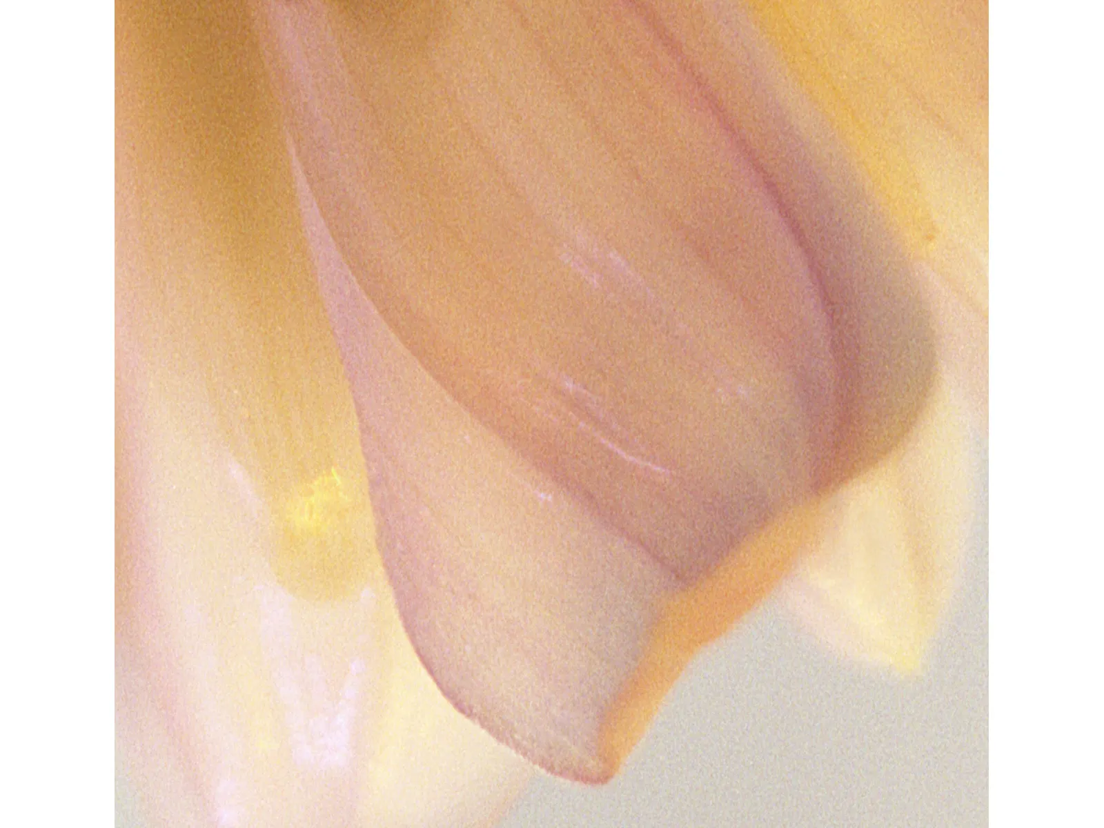 Photo by Cecile Andre 