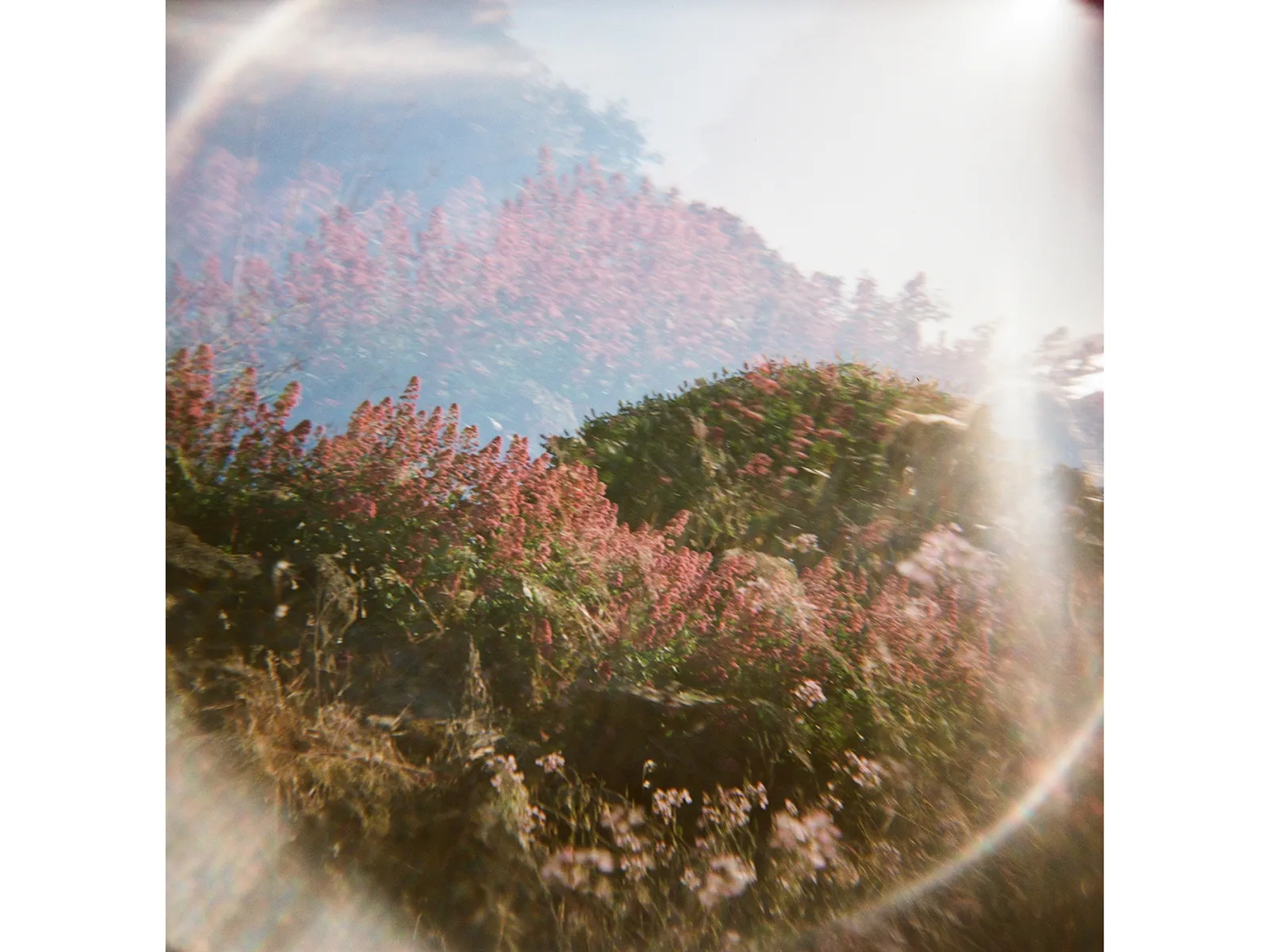 Photo by Meg Messina