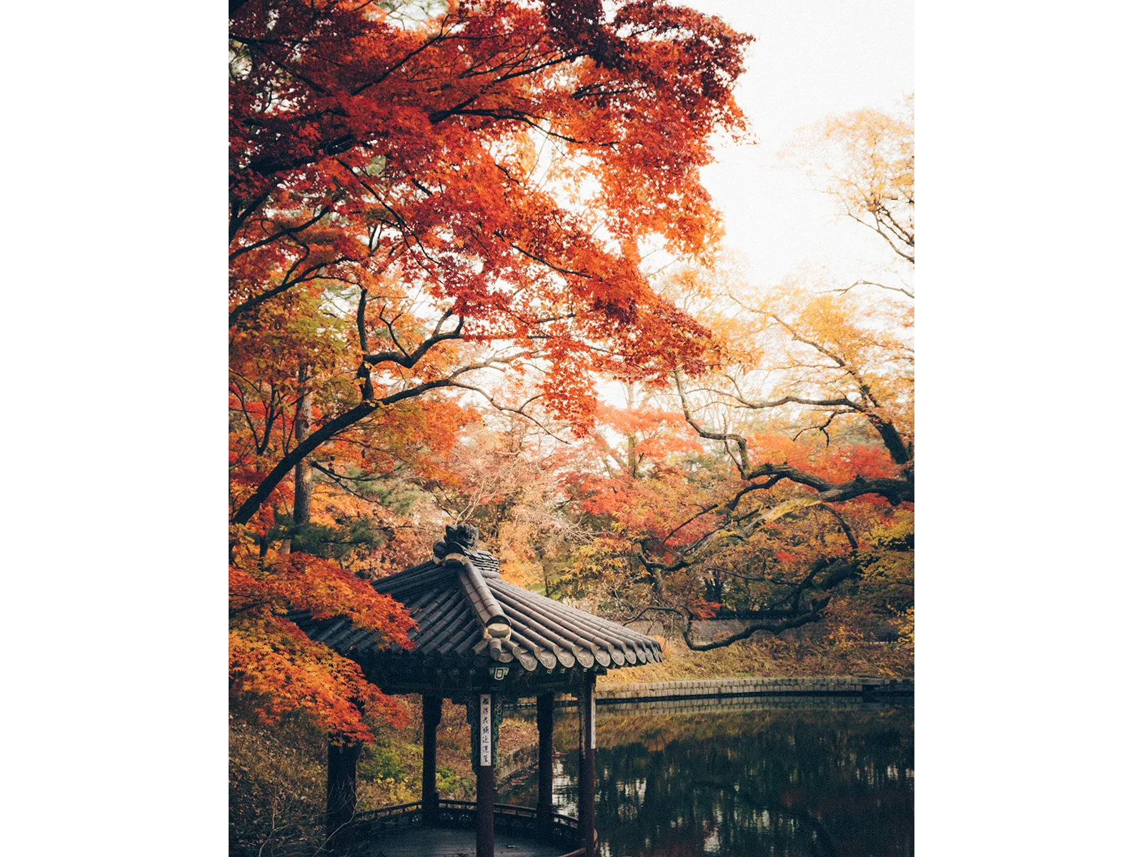 Photo by Jacopo Degl'Innocenti