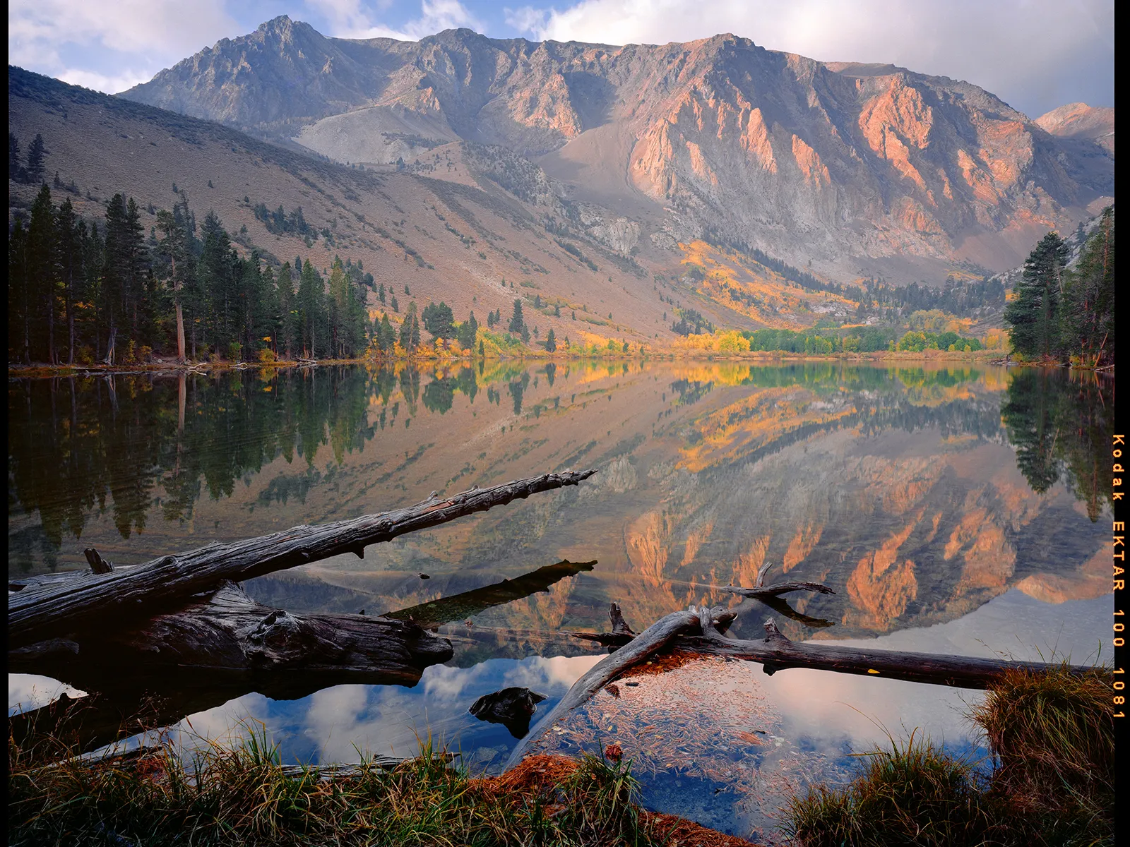 Photo by Blake Johnston