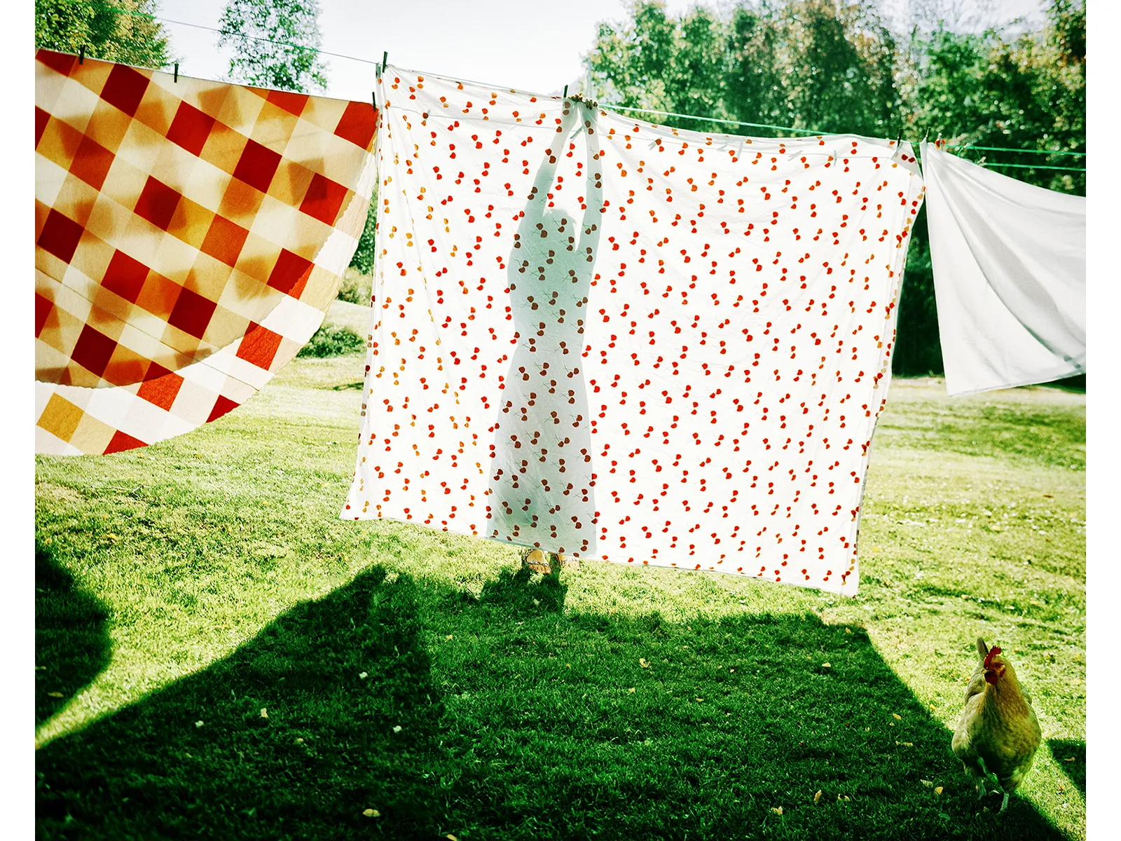 Photo by Stephen Schaub