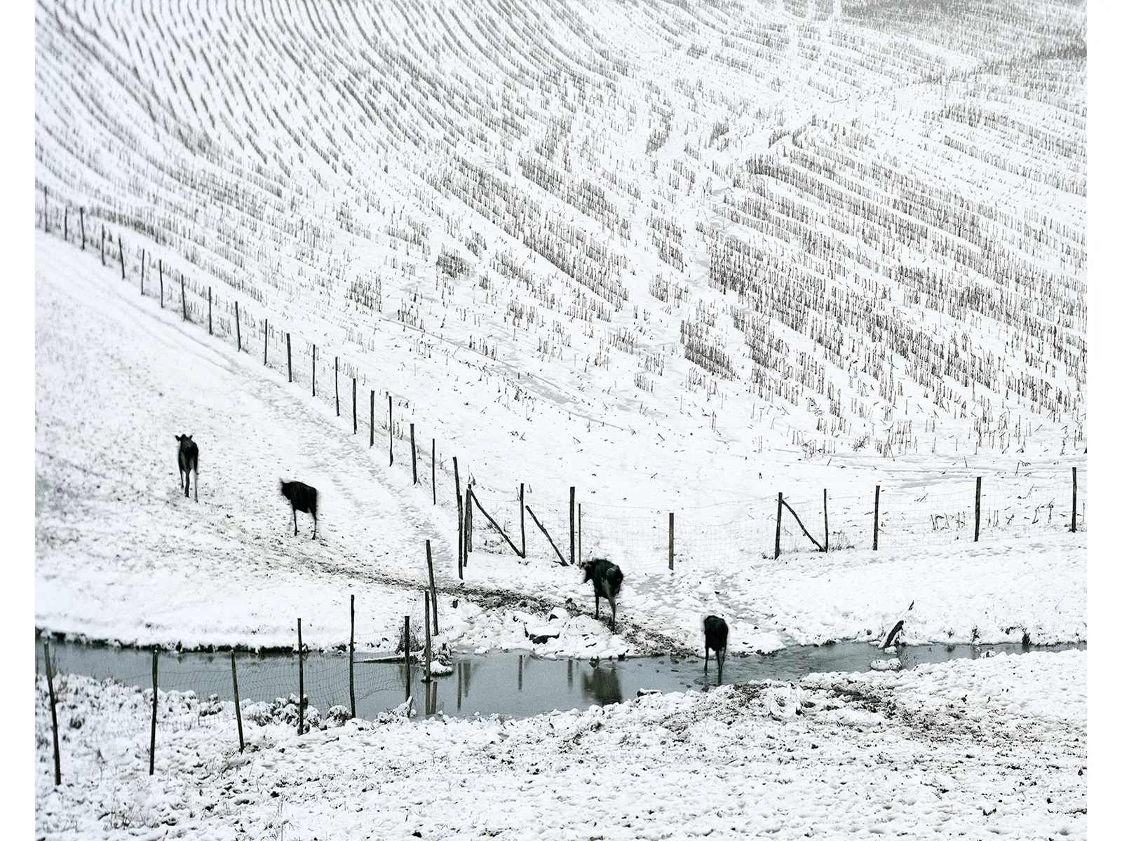 Photo by Stephen Schaub