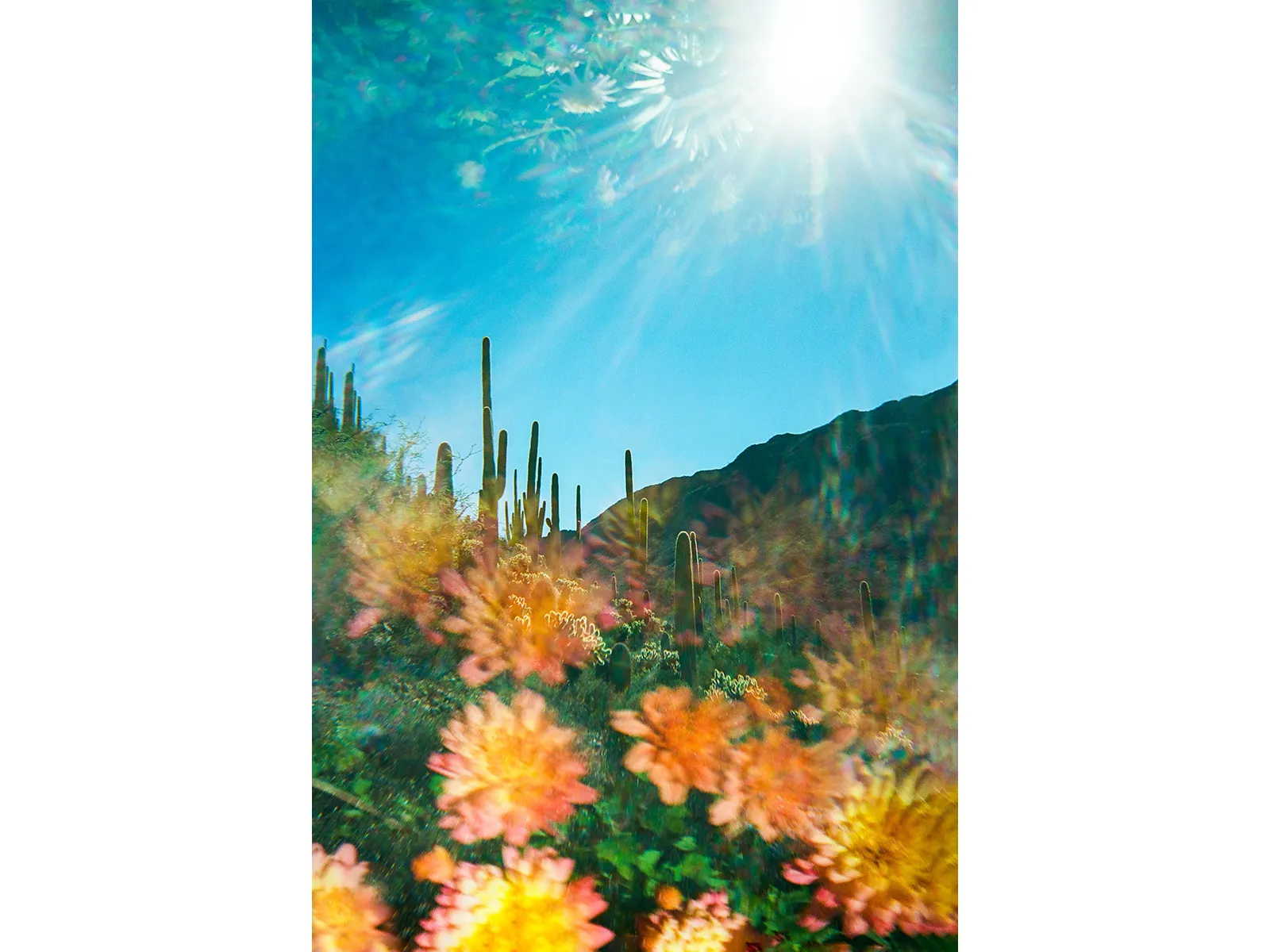 Photo by Jennifer Lawrence