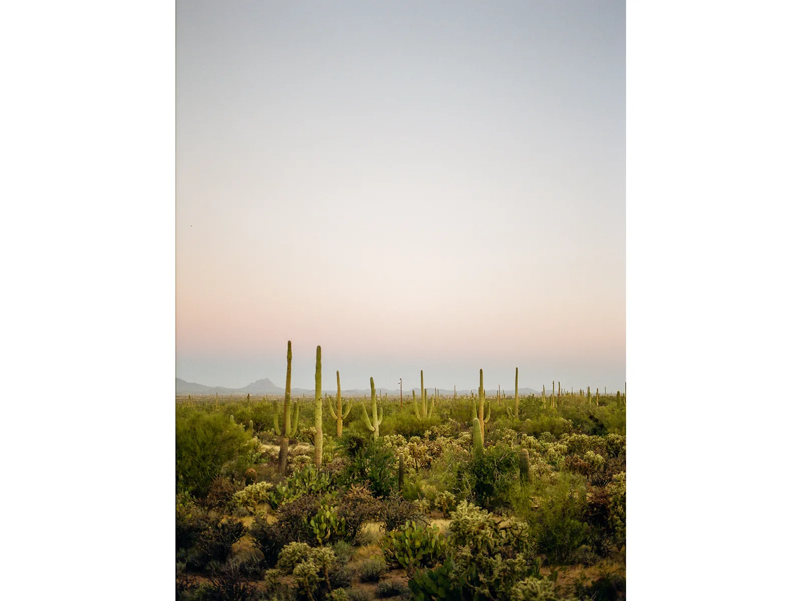 Photo by Jennifer Lawrence