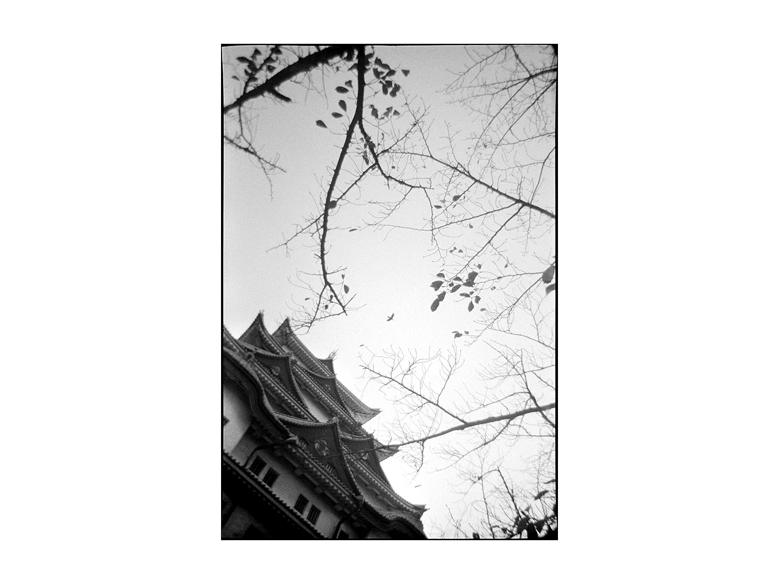 Photo by Renato Repetto 