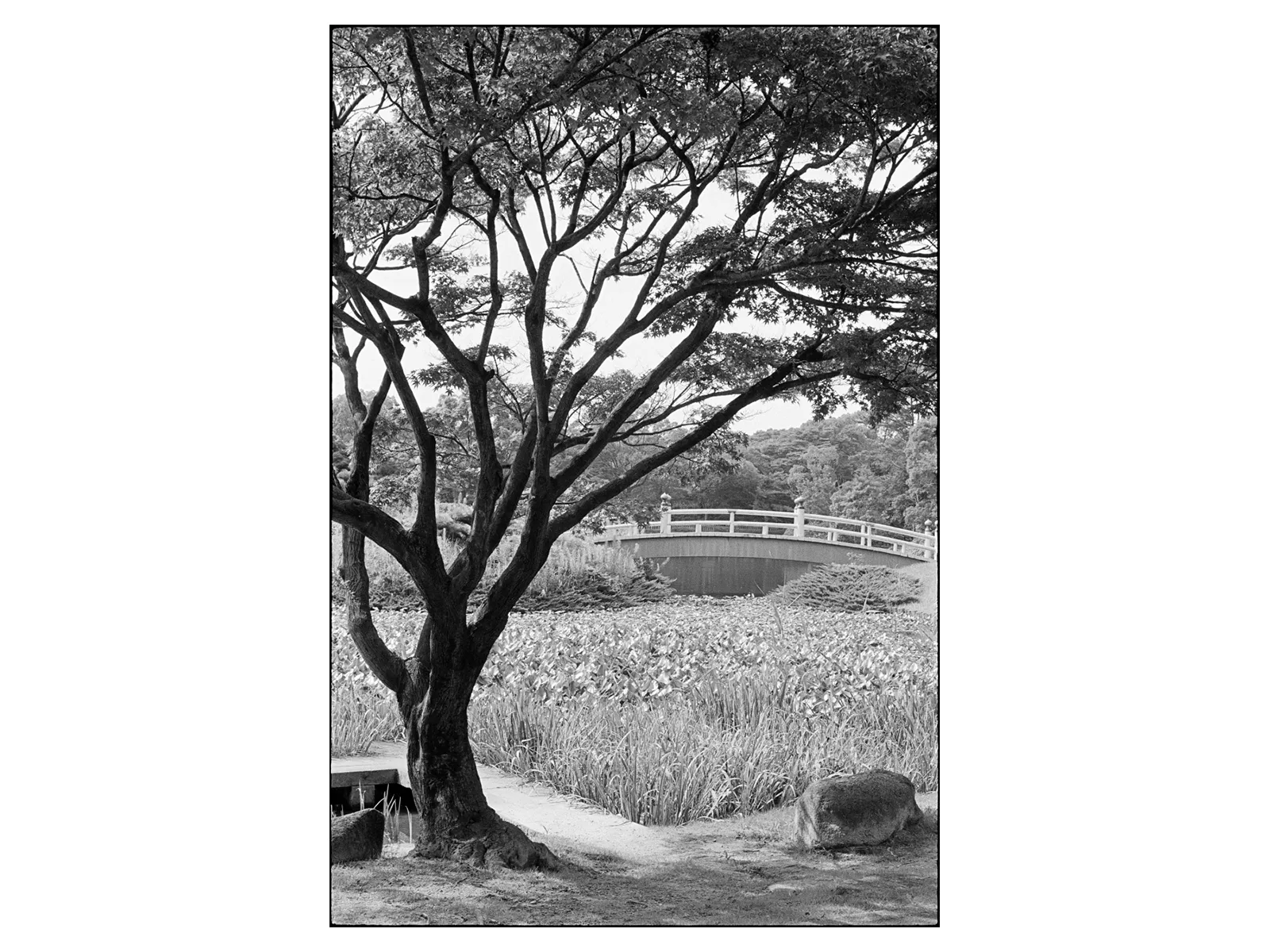 Photo by Renato Repetto