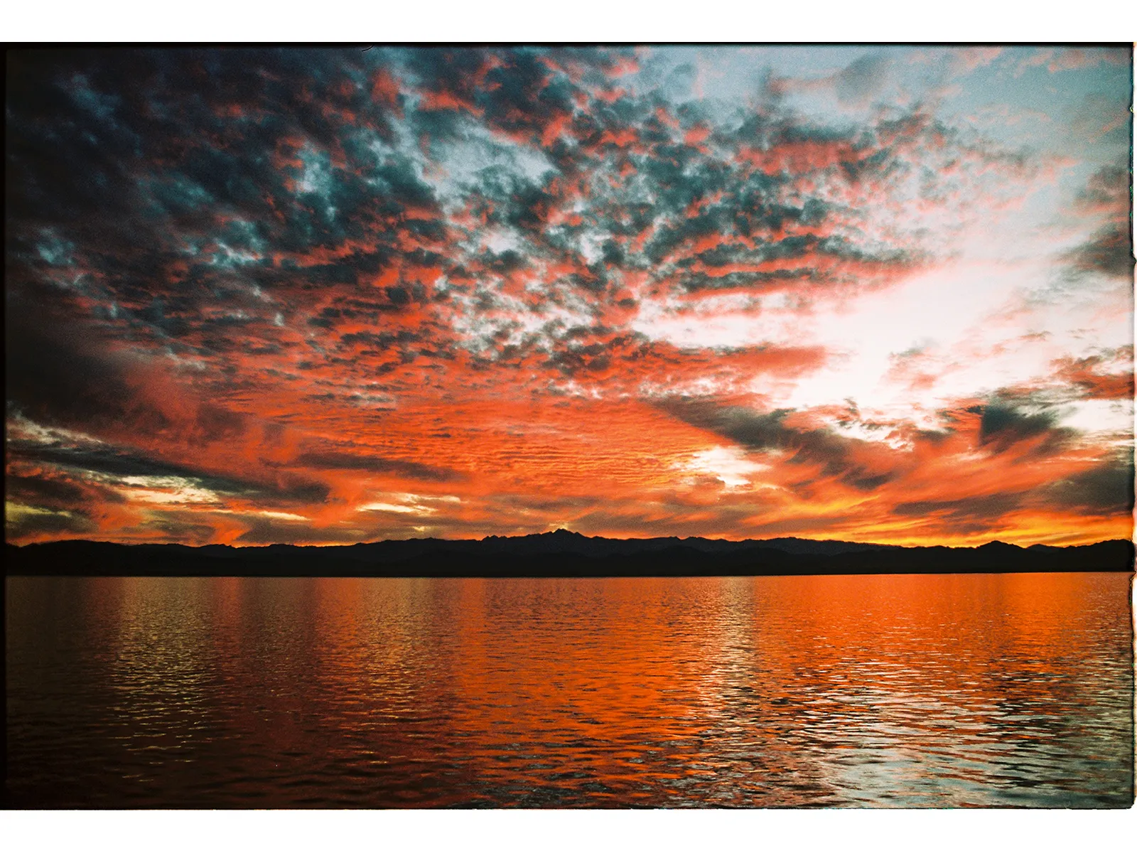 Photo by Willem van den Heever