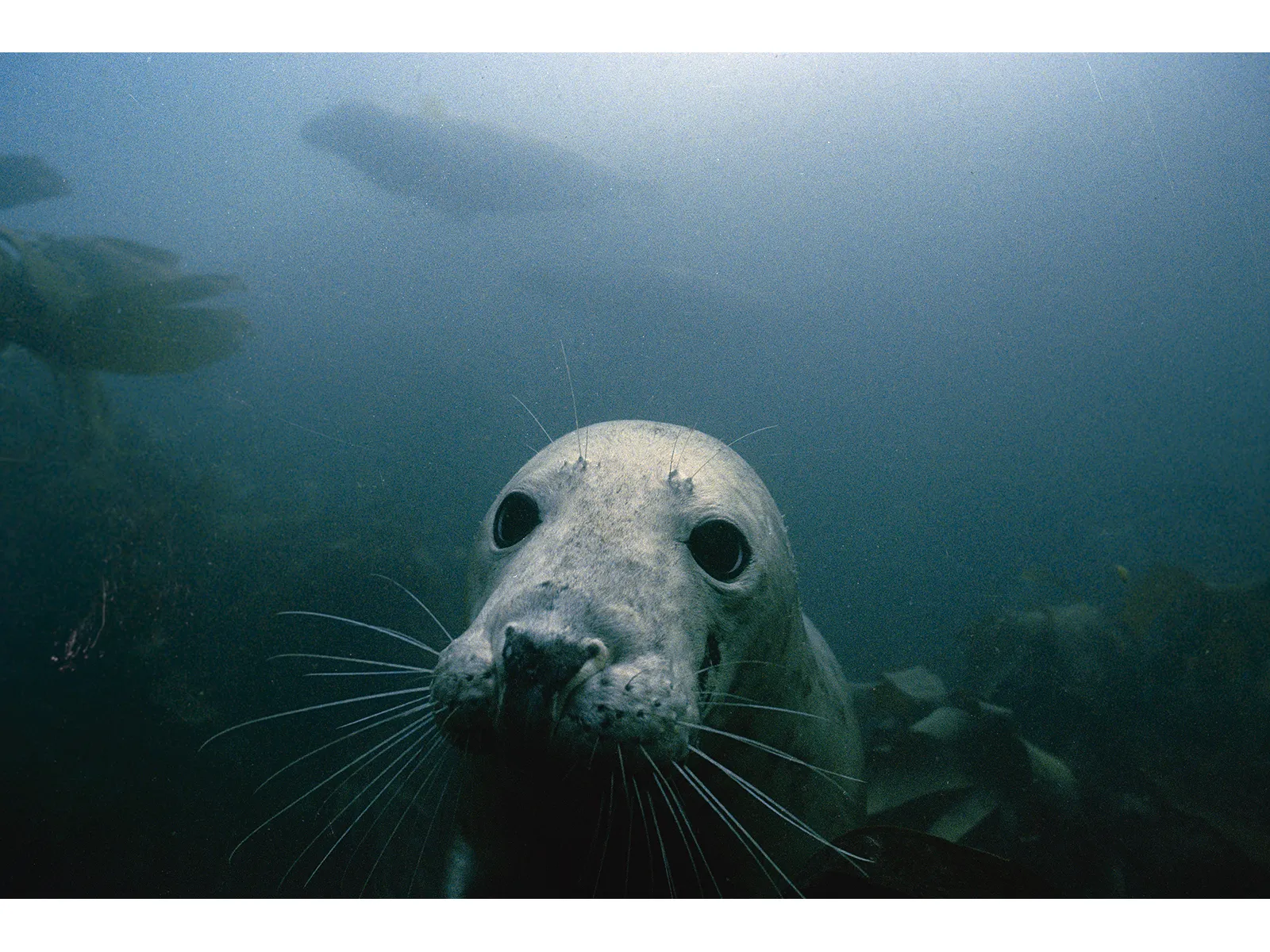 Photo by Barney Smith