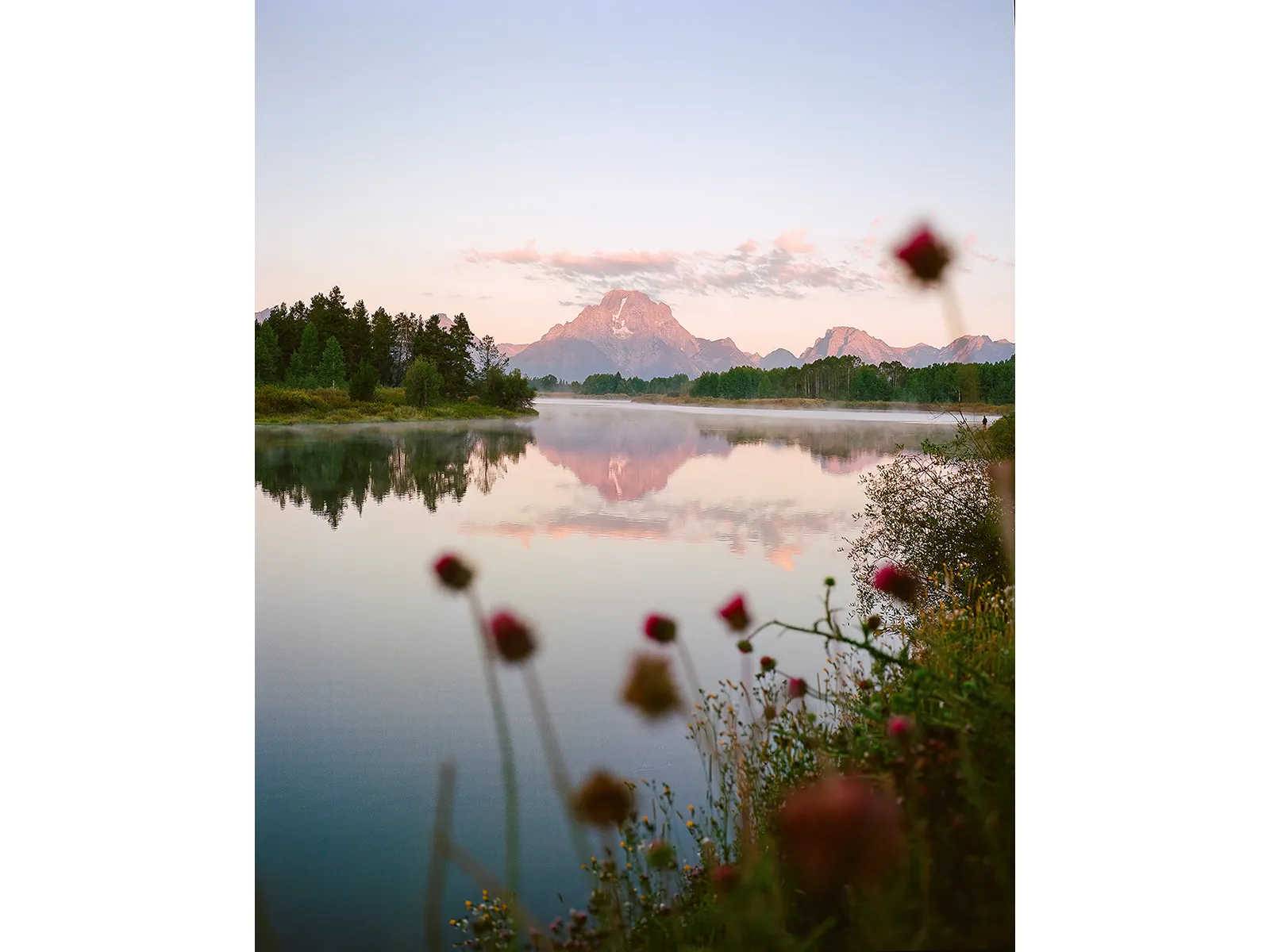 Photo by Jakob Lilja-Ruiz