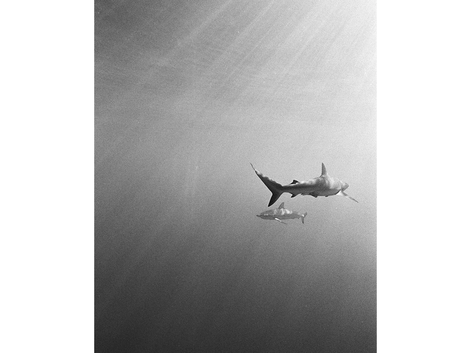 Photo by Maddie Hayes