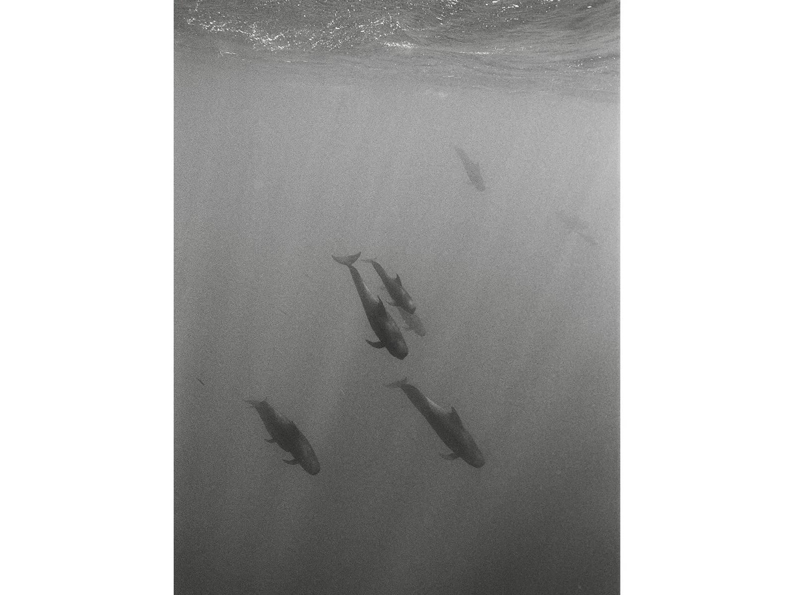 Photo by Maddie Hayes