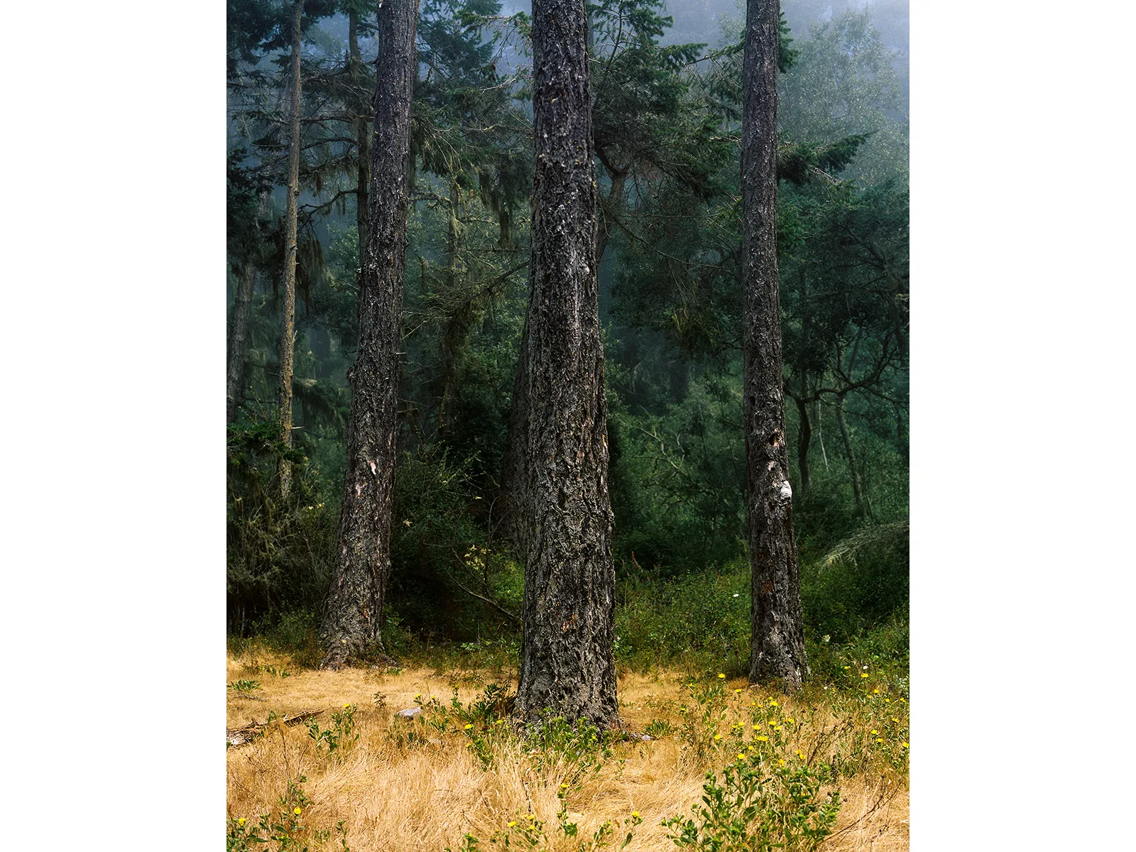 Photo by Travis Cobb 