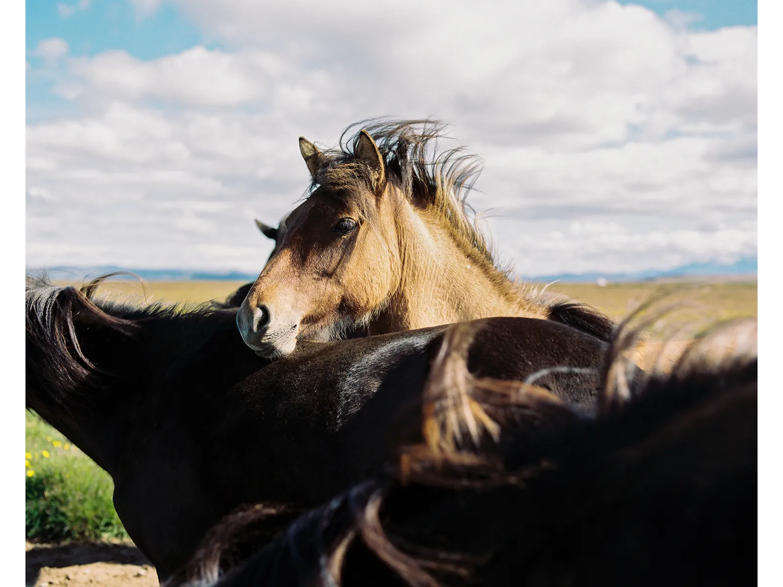 Photo by Travis Cobb 