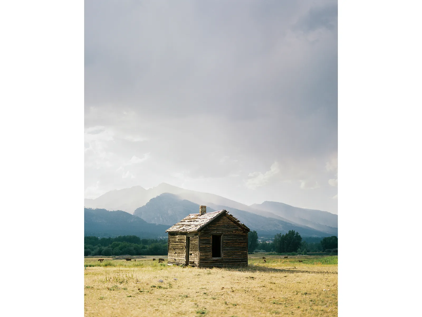 Photo by Travis Cobb 