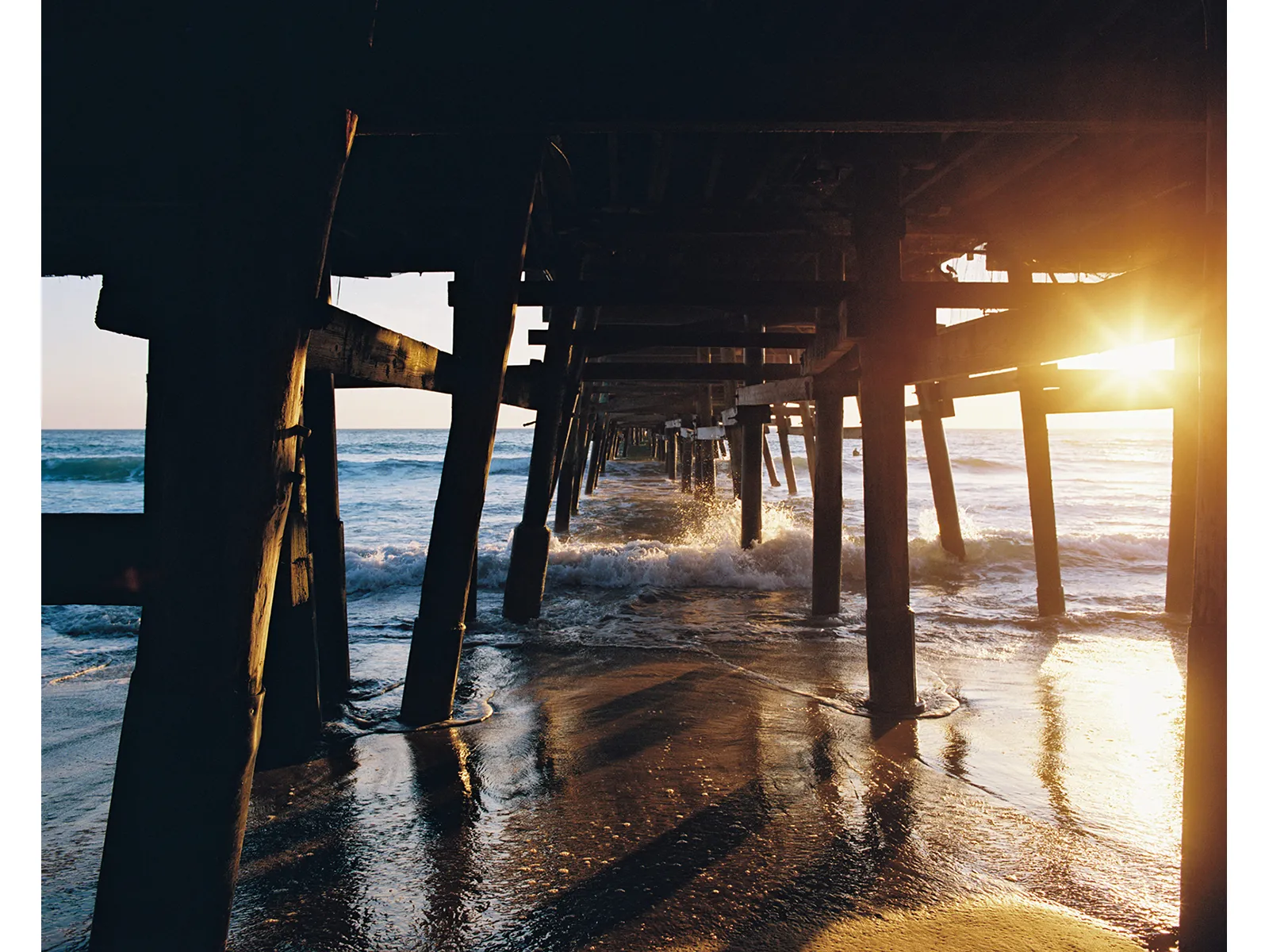 Photo by Tony Wodarck