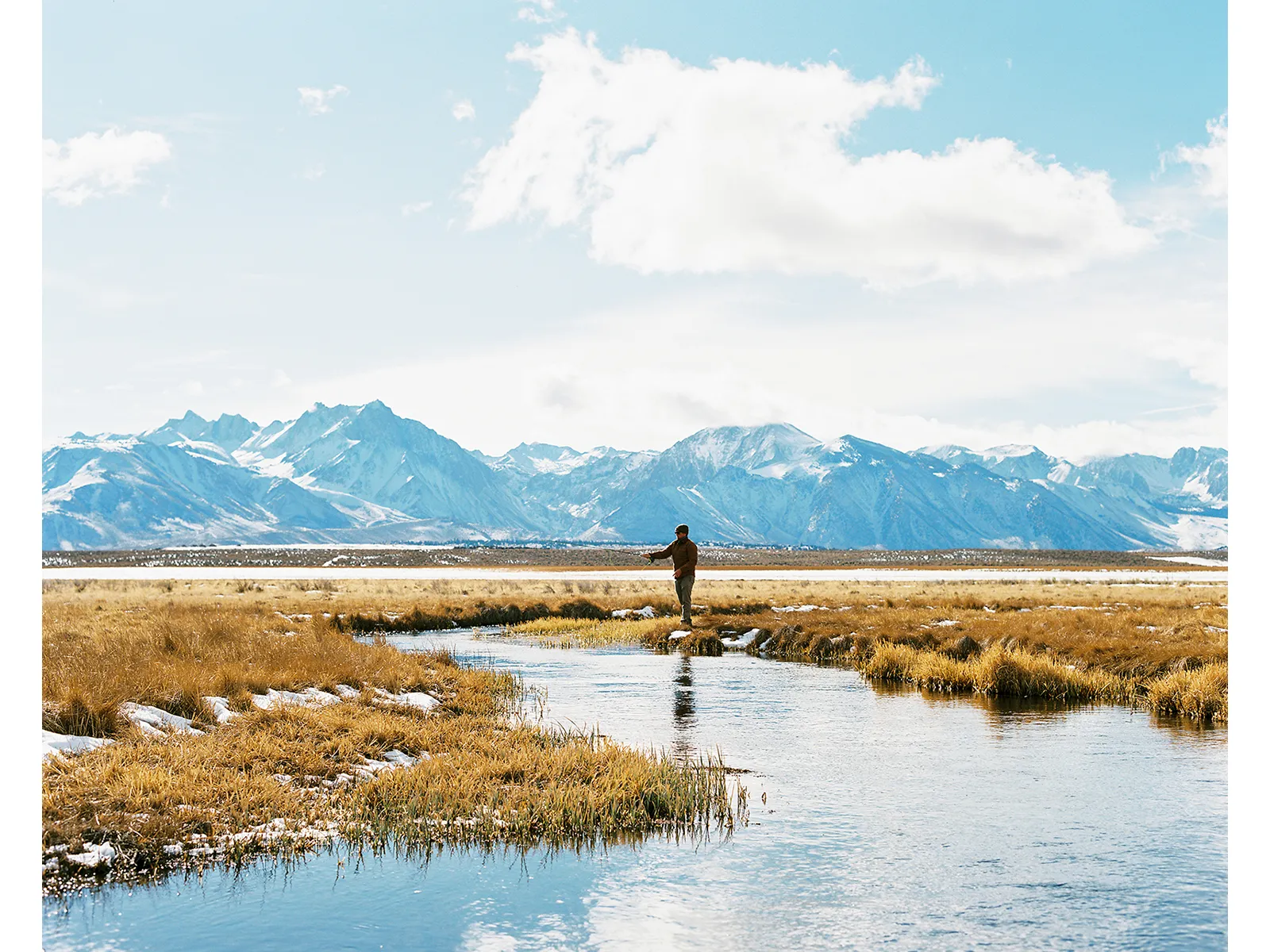 Photo by Tony Wodarck