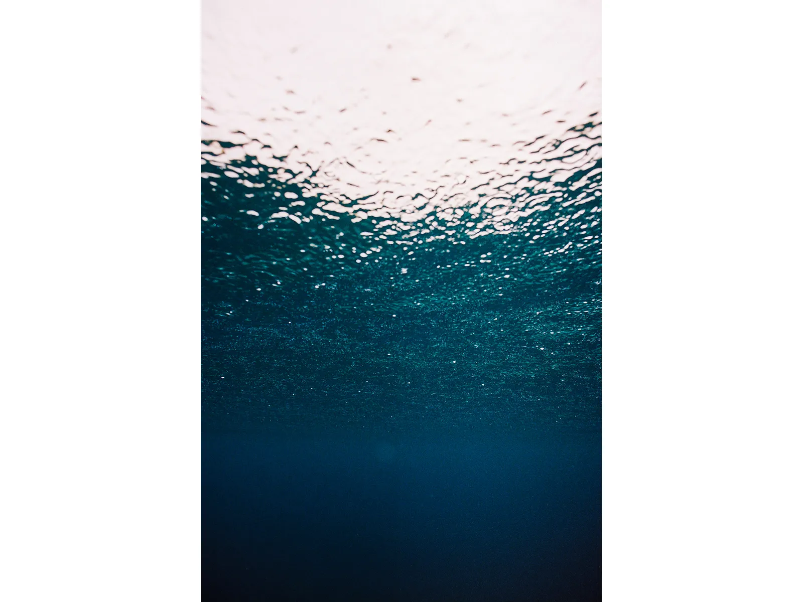 Photo by Katharine Kollman