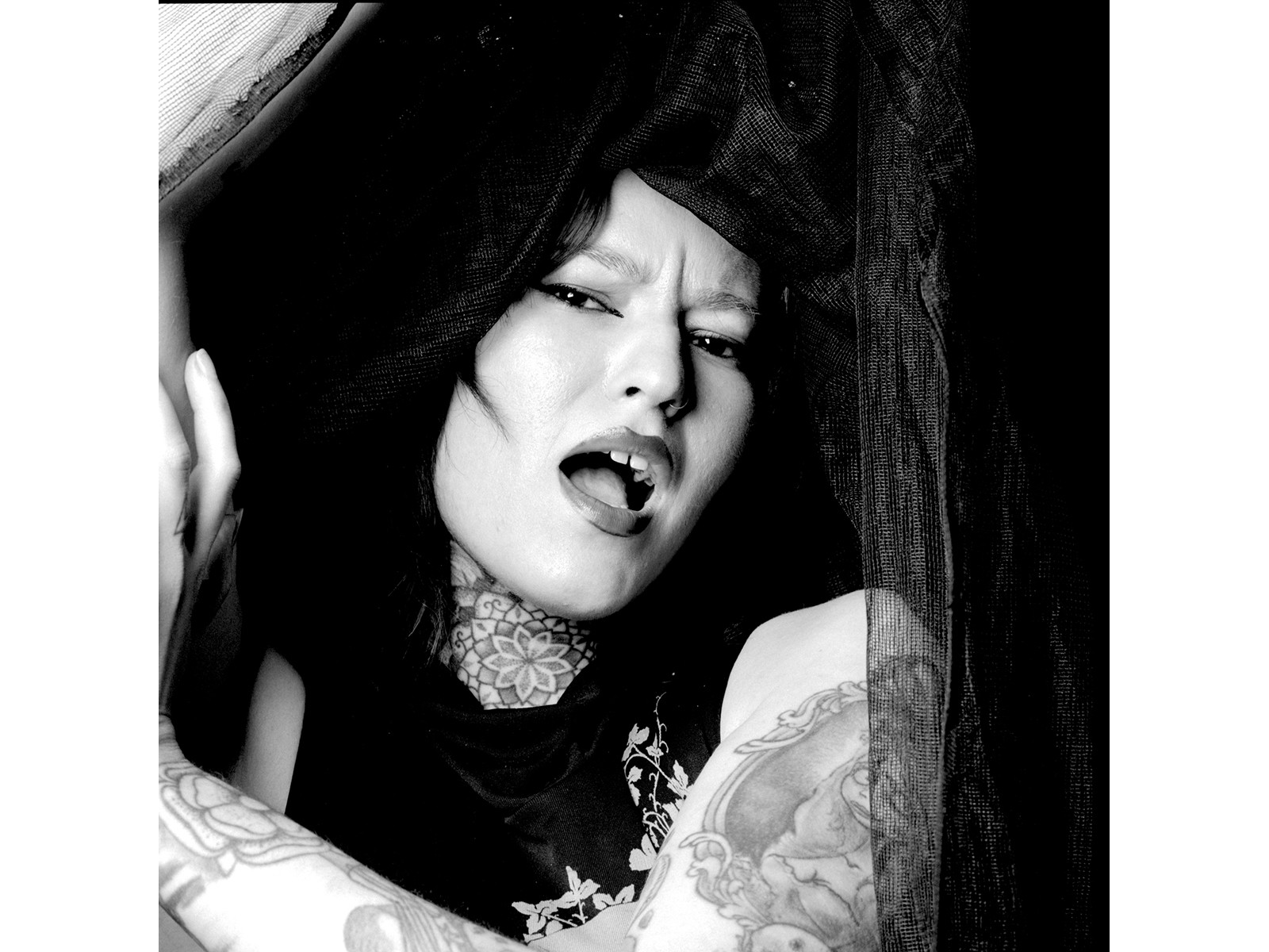 Photo by Ted Smith