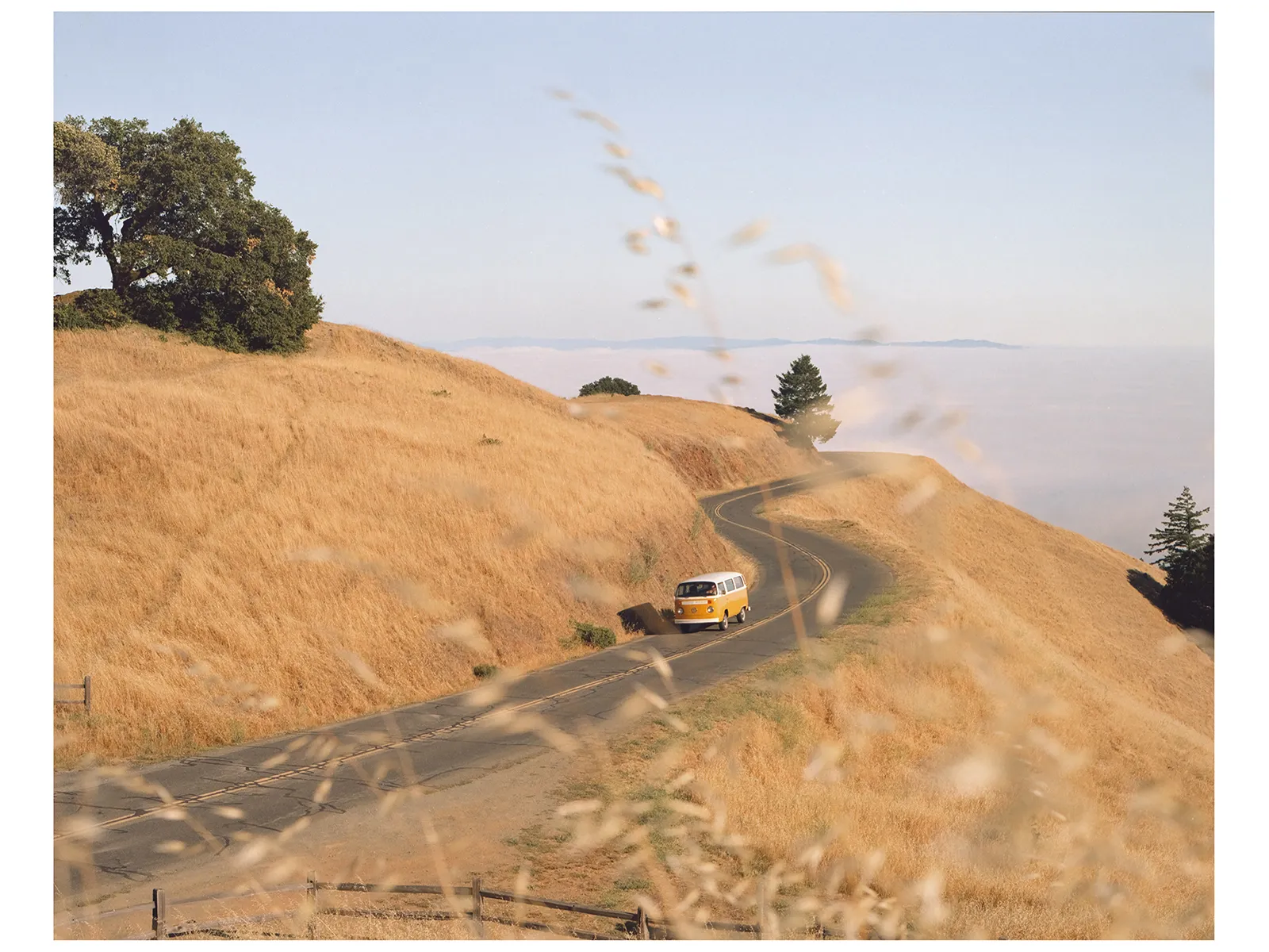 Photo by Erik Poppen