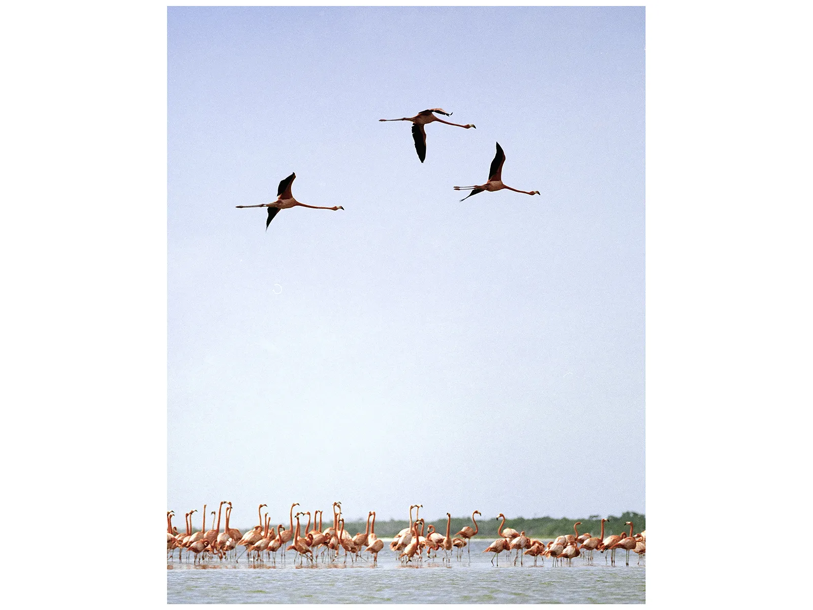 Photo by Erik Poppen