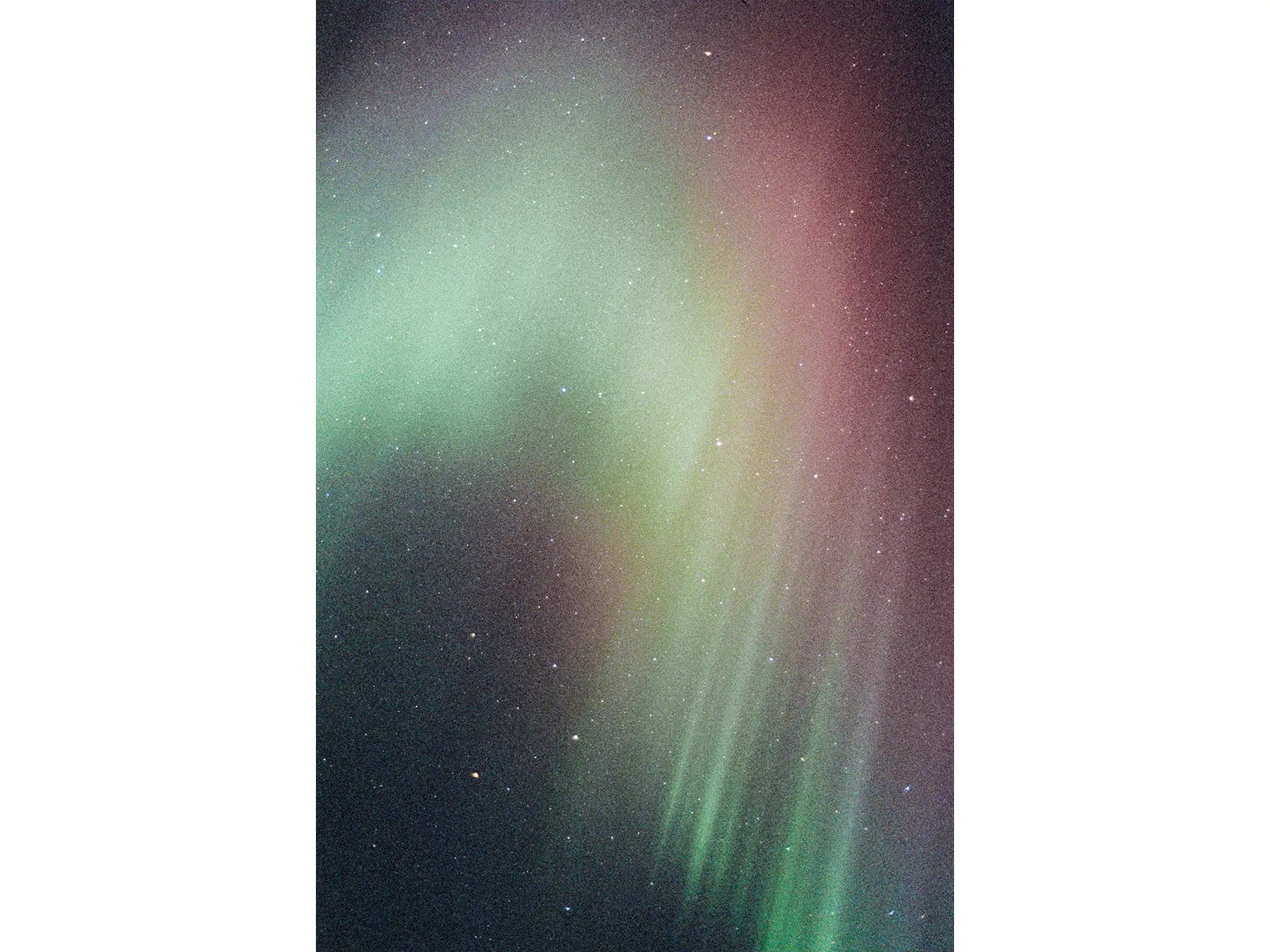 Photo by Wojtek Nowicki