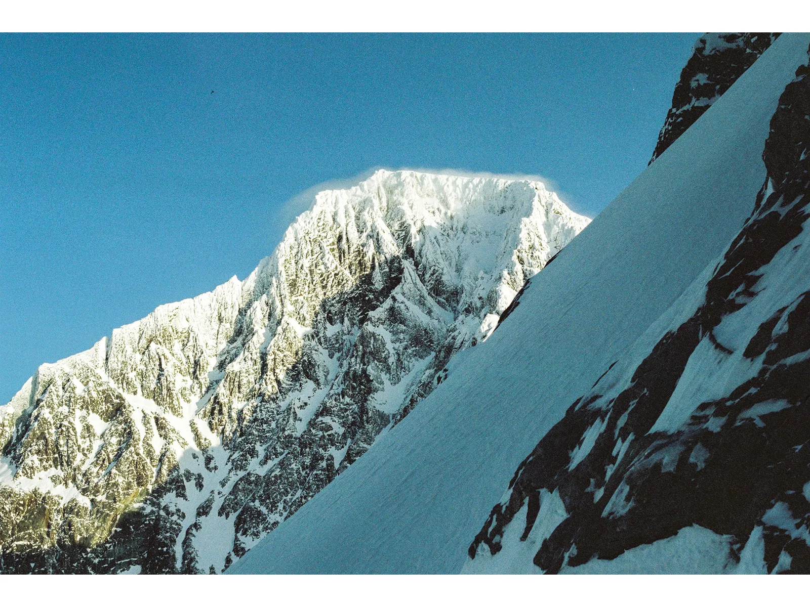 Photo by Wojtek Nowicki