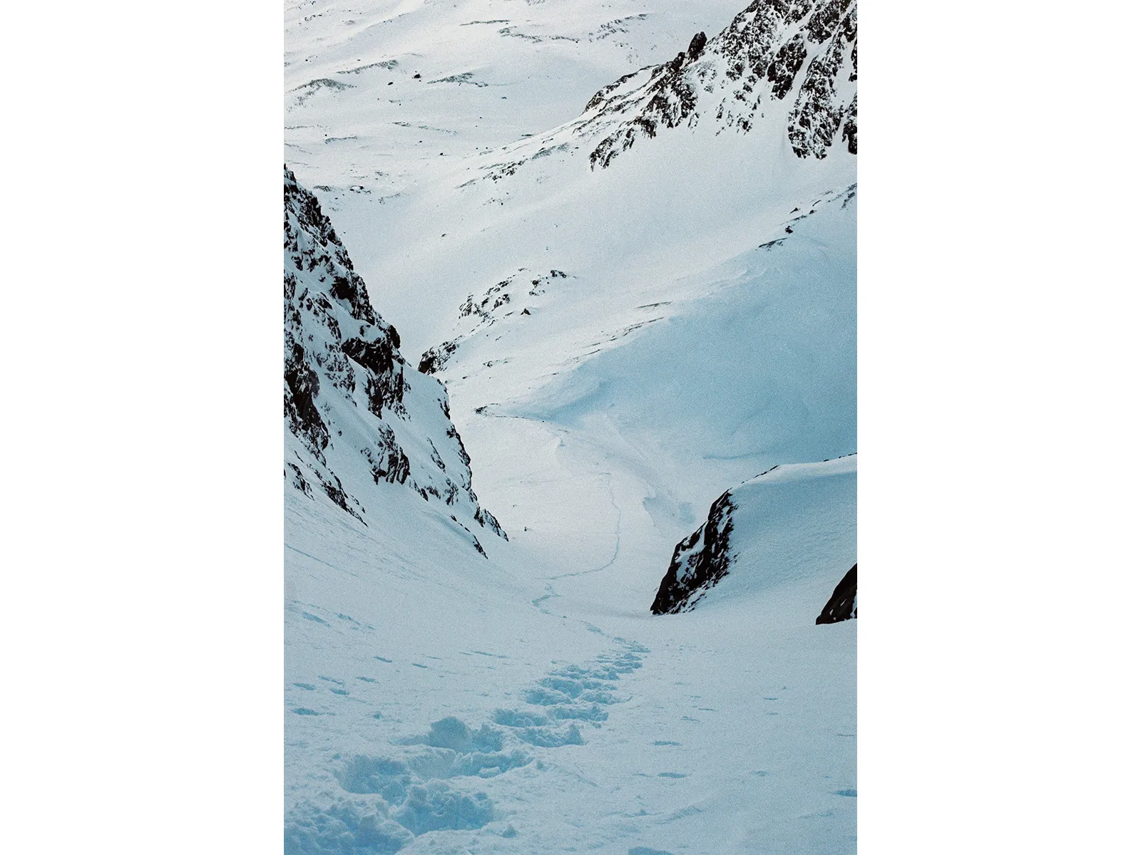 Photo by Wojtek Nowicki