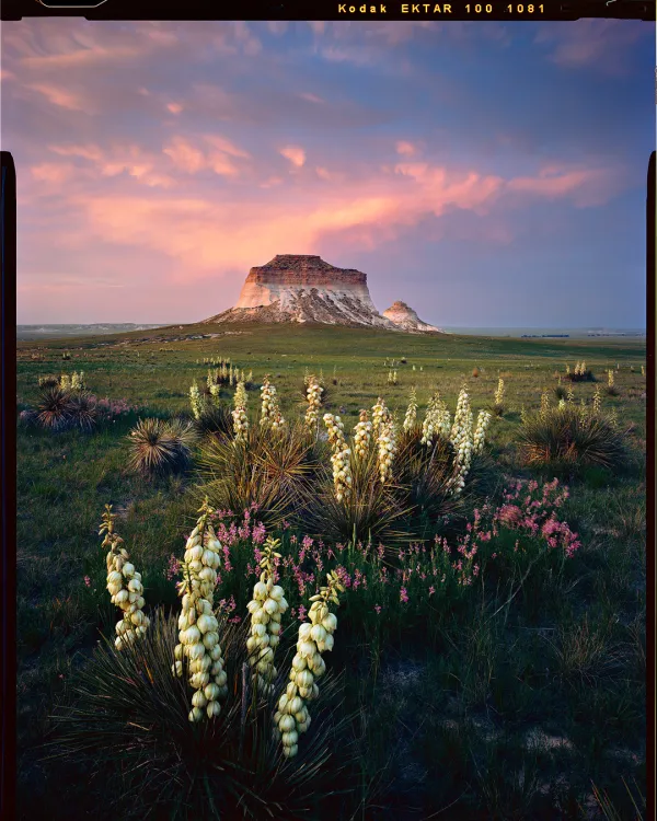 Film Paragraph | Kodak Alaris