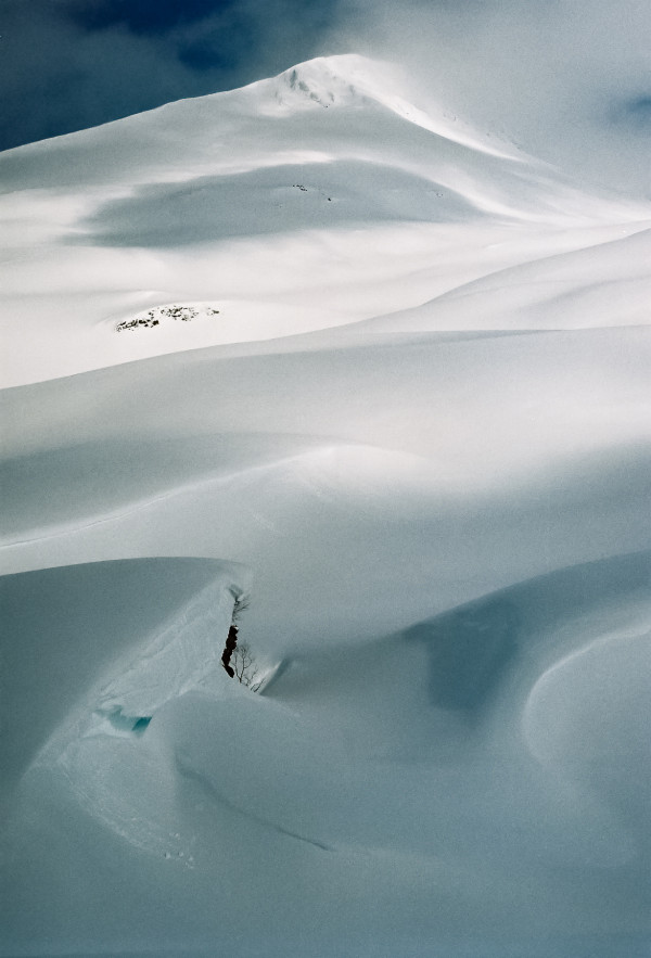 Photo by Wojtek Nowicki